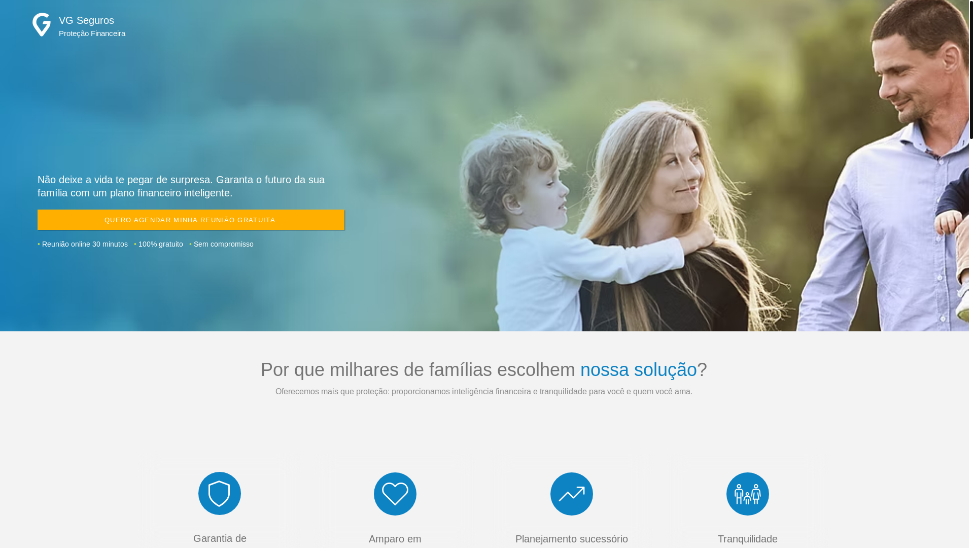 website screenshot of https://vgprotecao.com.br/