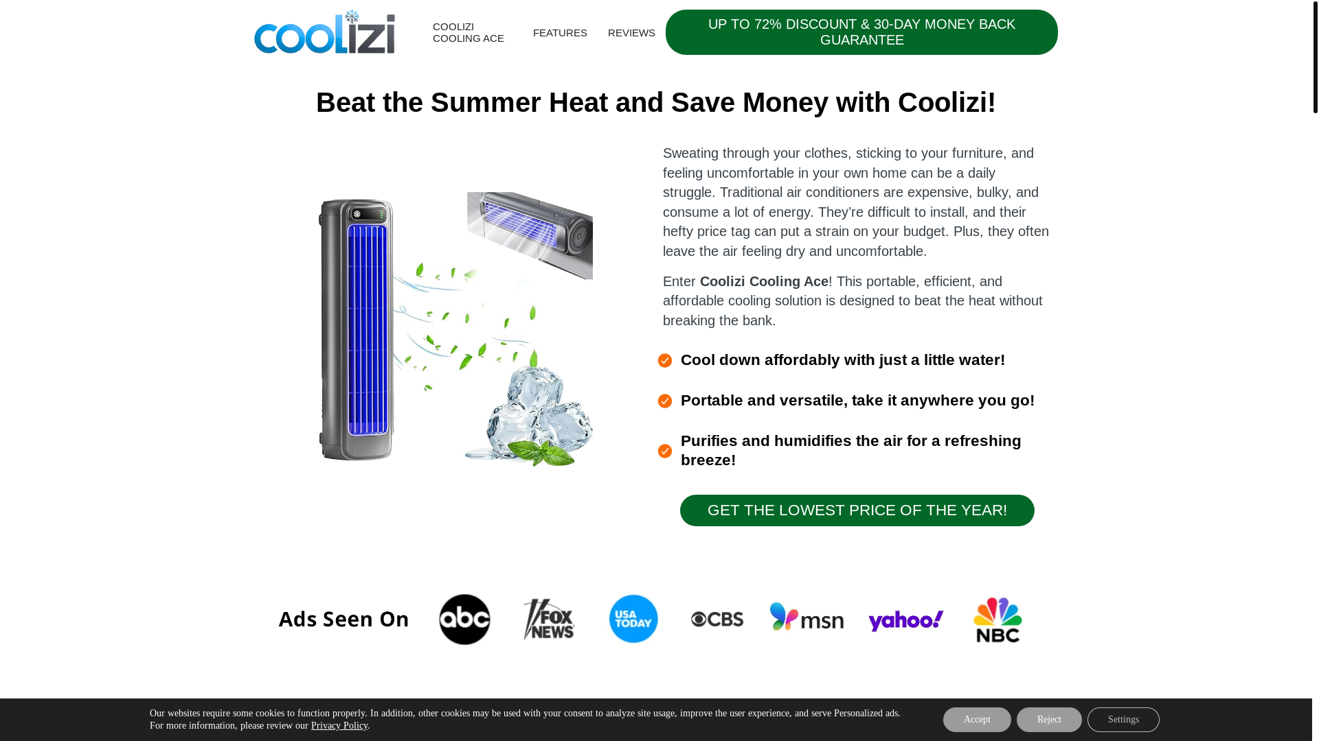 website screenshot of https://coolizicoolingace.com/
