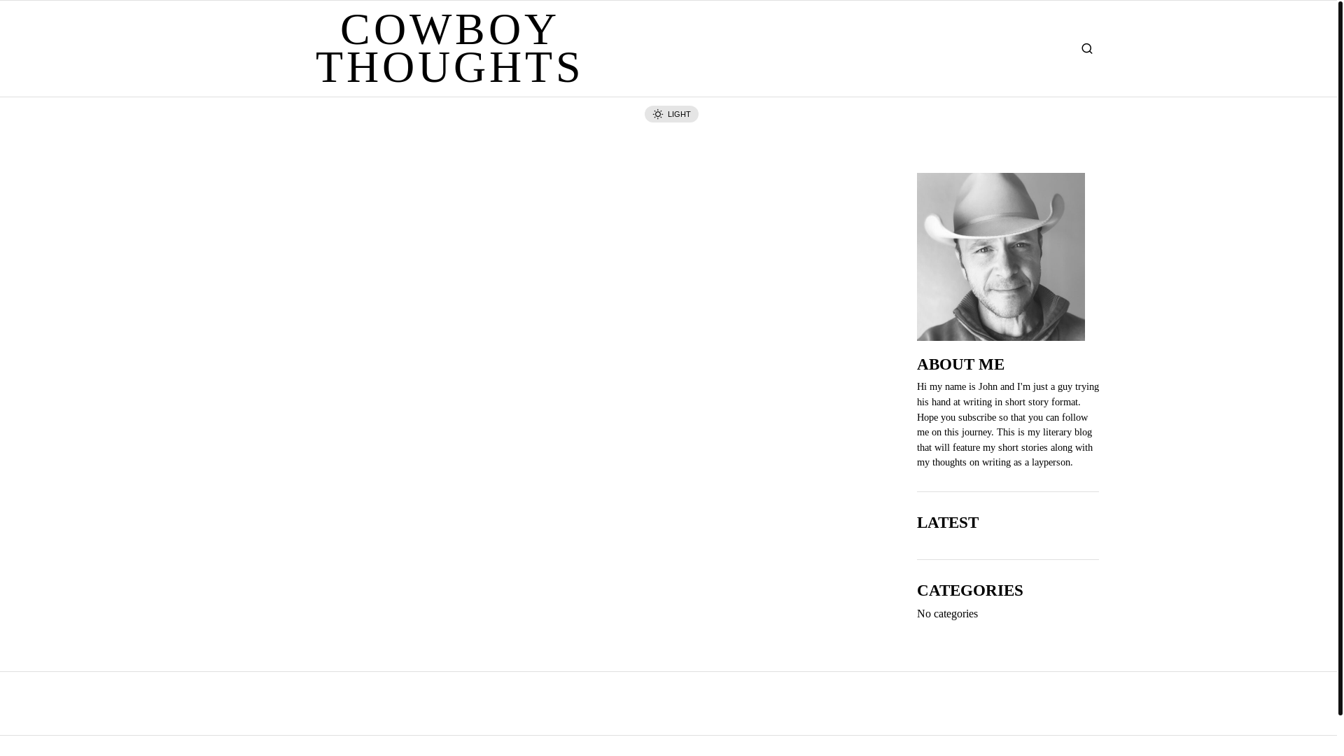 website screenshot of https://cowboythoughts.com/