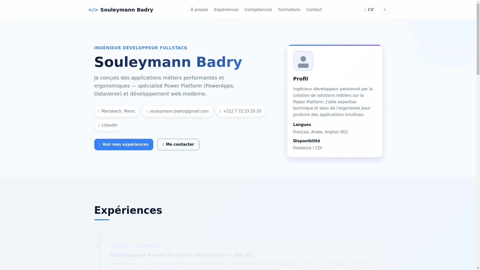 website screenshot of https://souleymann-badry.com/