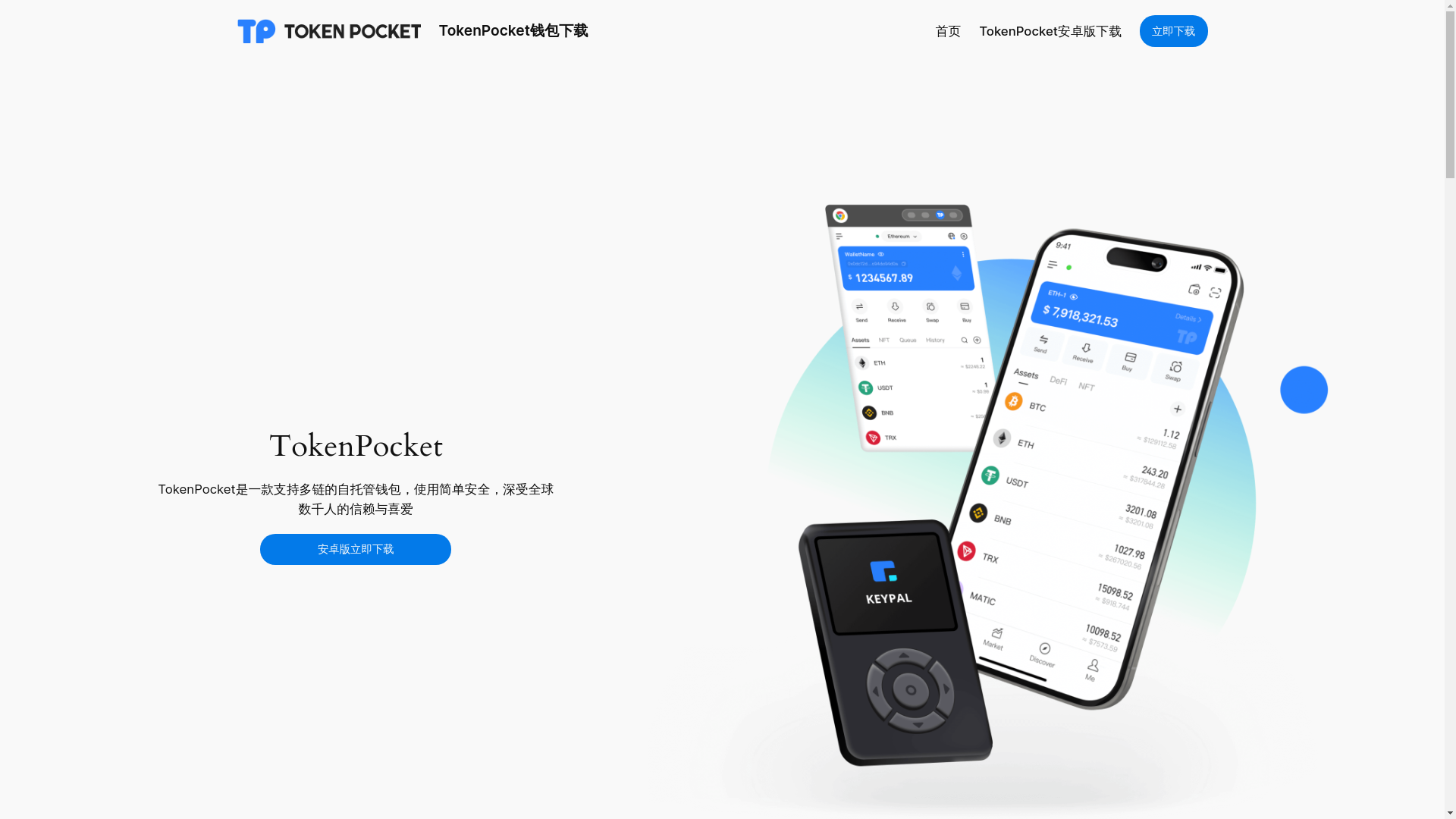 website screenshot of https://www.tokenpocktp.com/