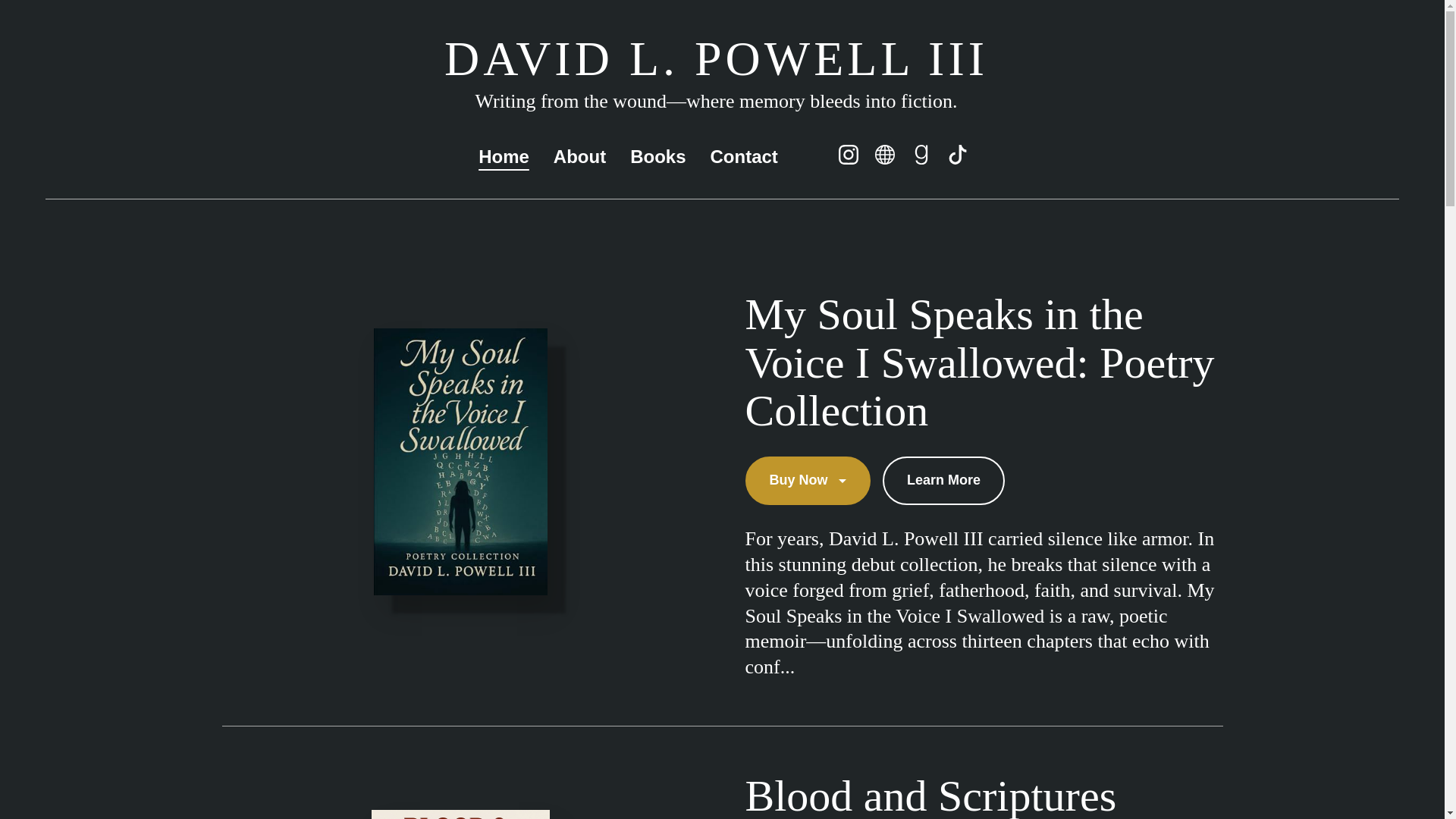 website screenshot of https://dlp3visionwork.com/