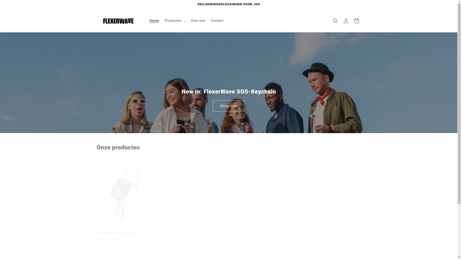website screenshot of https://flexerwave.com/