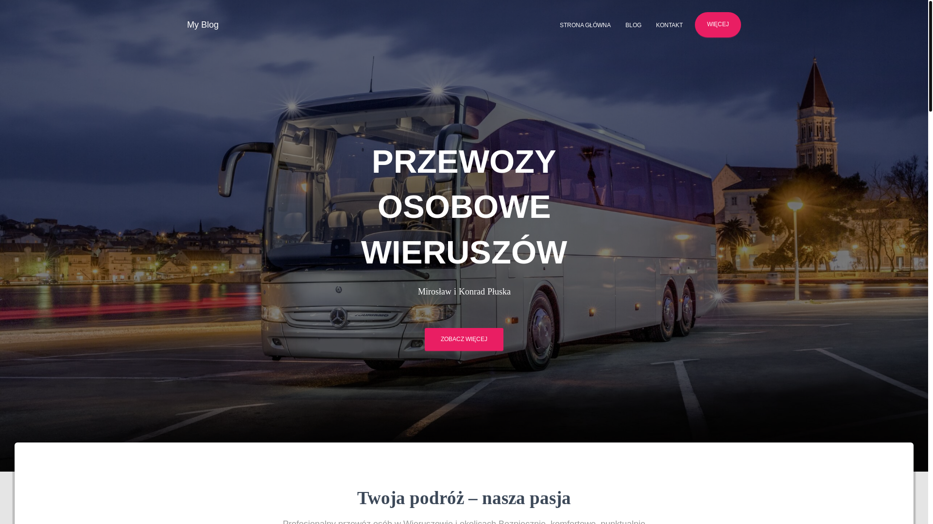 website screenshot of https://transport-pluska.pl/
