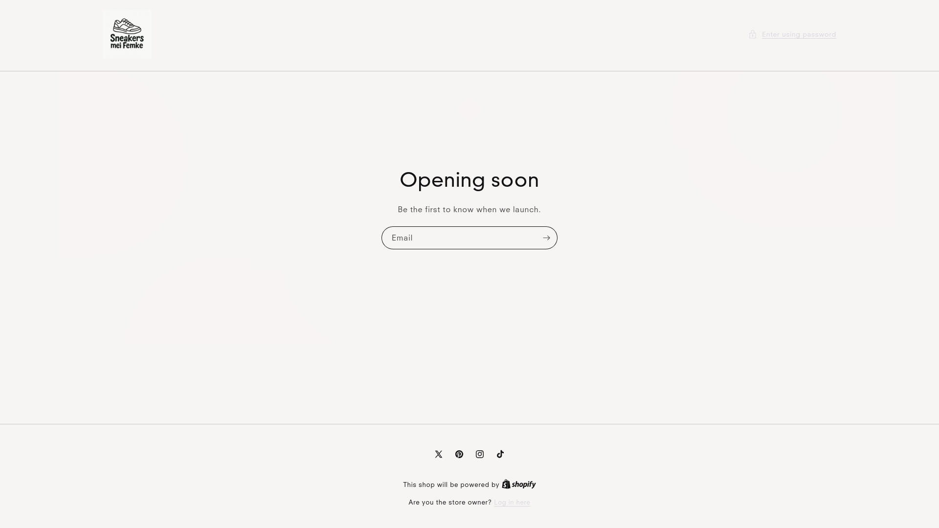 website screenshot of https://sneakersmeifemke.nl/