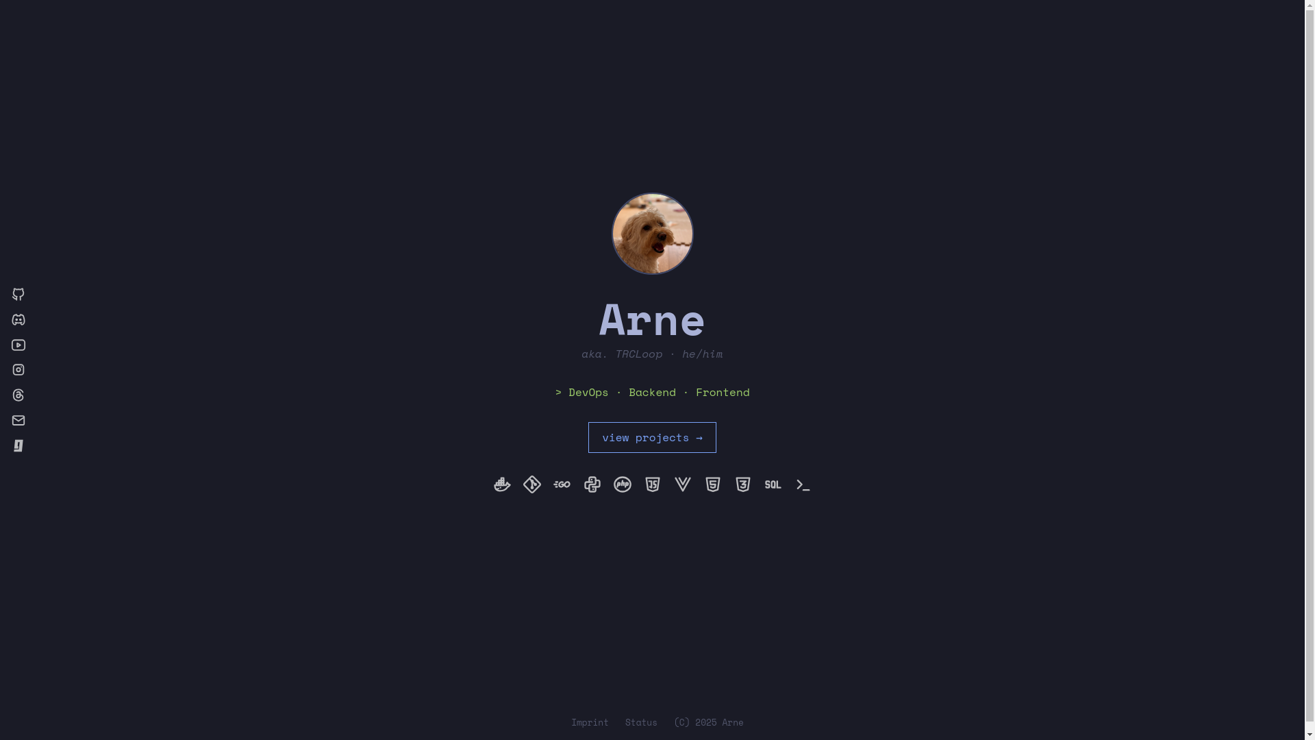 website screenshot of https://arne.sh/