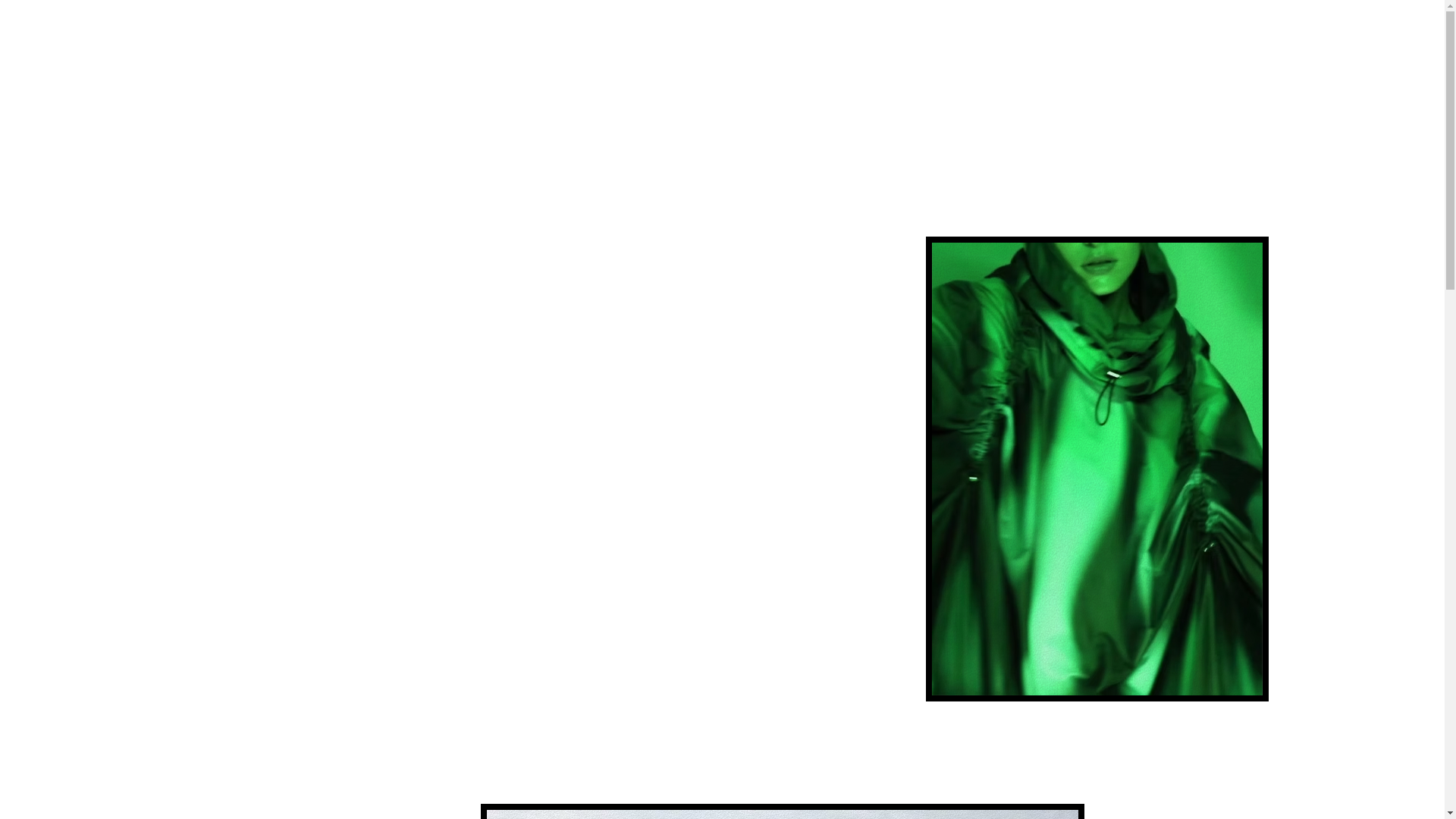 website screenshot of https://davidsierrastudios.com/