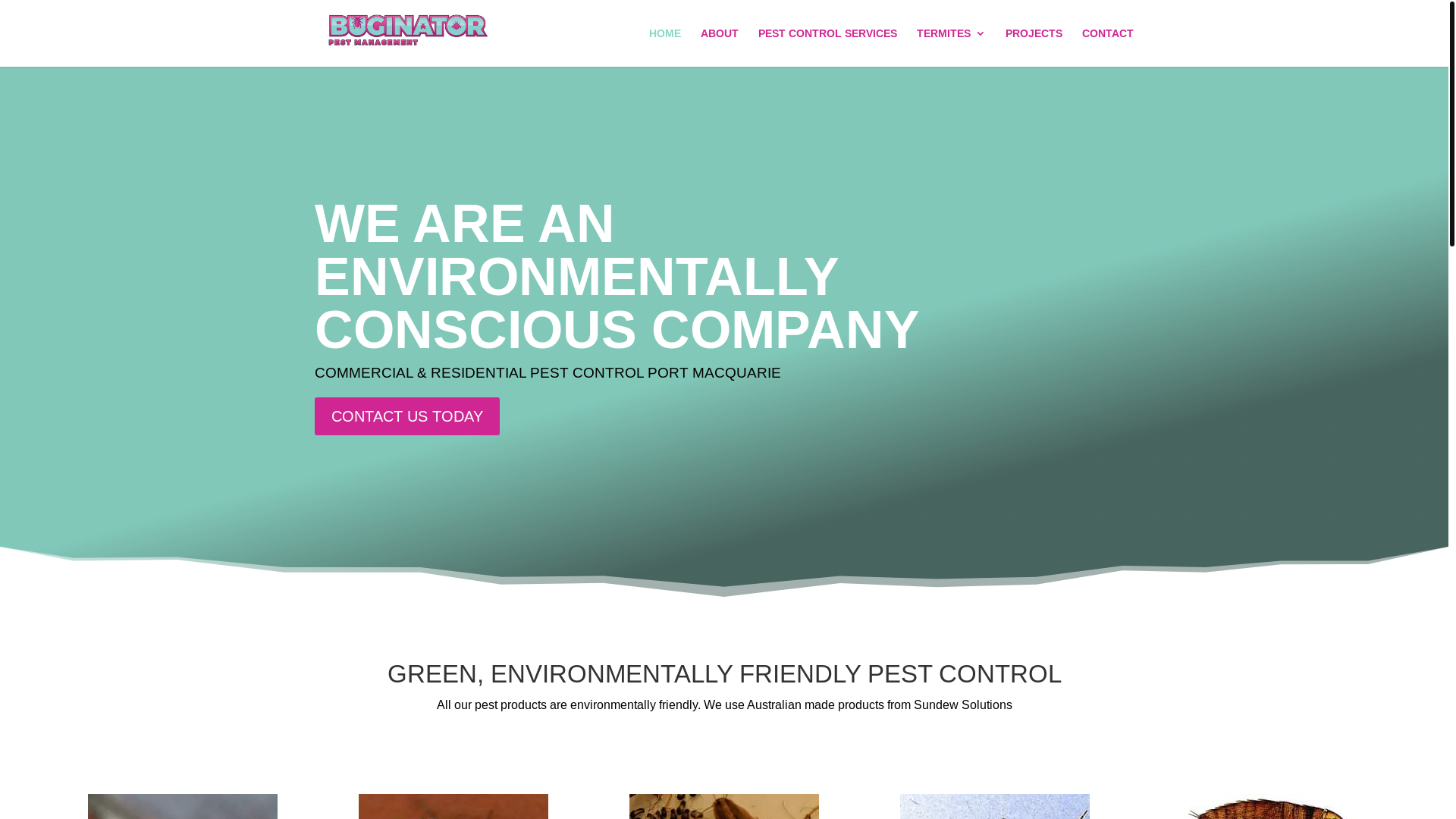 website screenshot of https://bugclean.com.au/