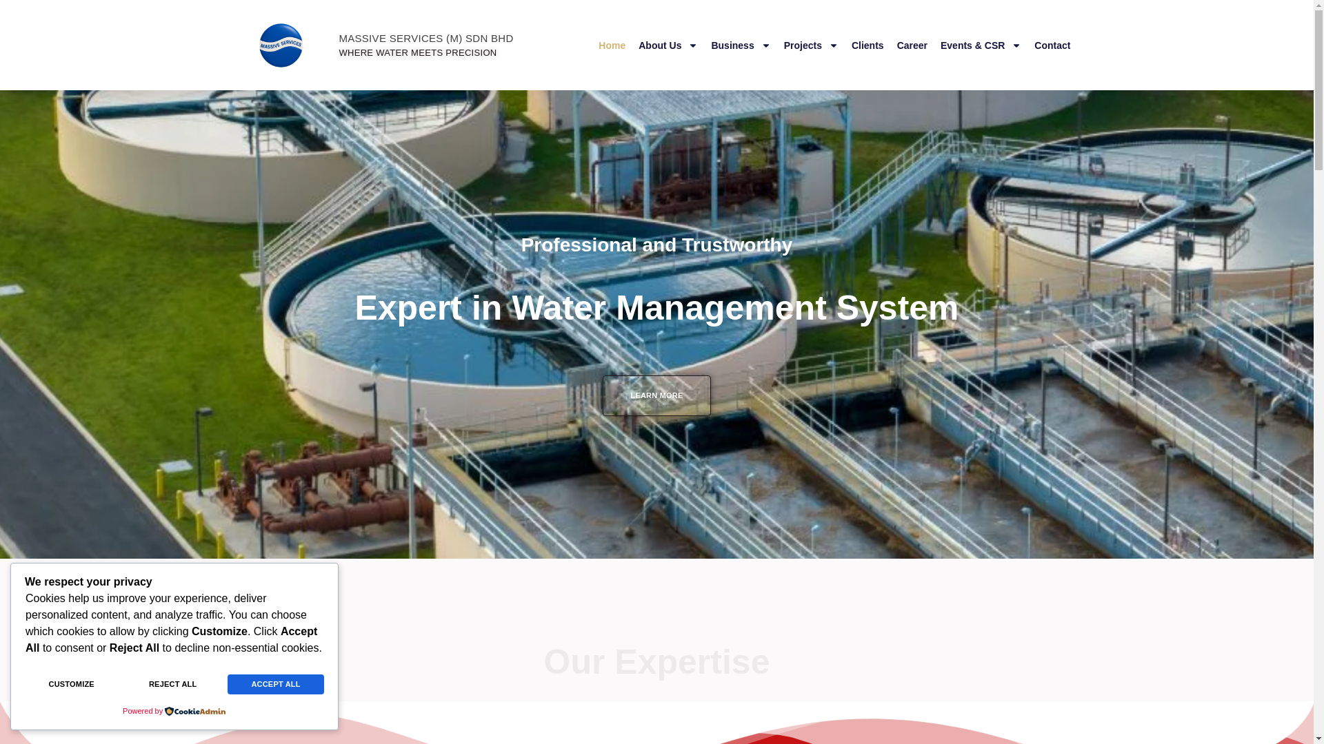 website screenshot of https://massiveservices.my/