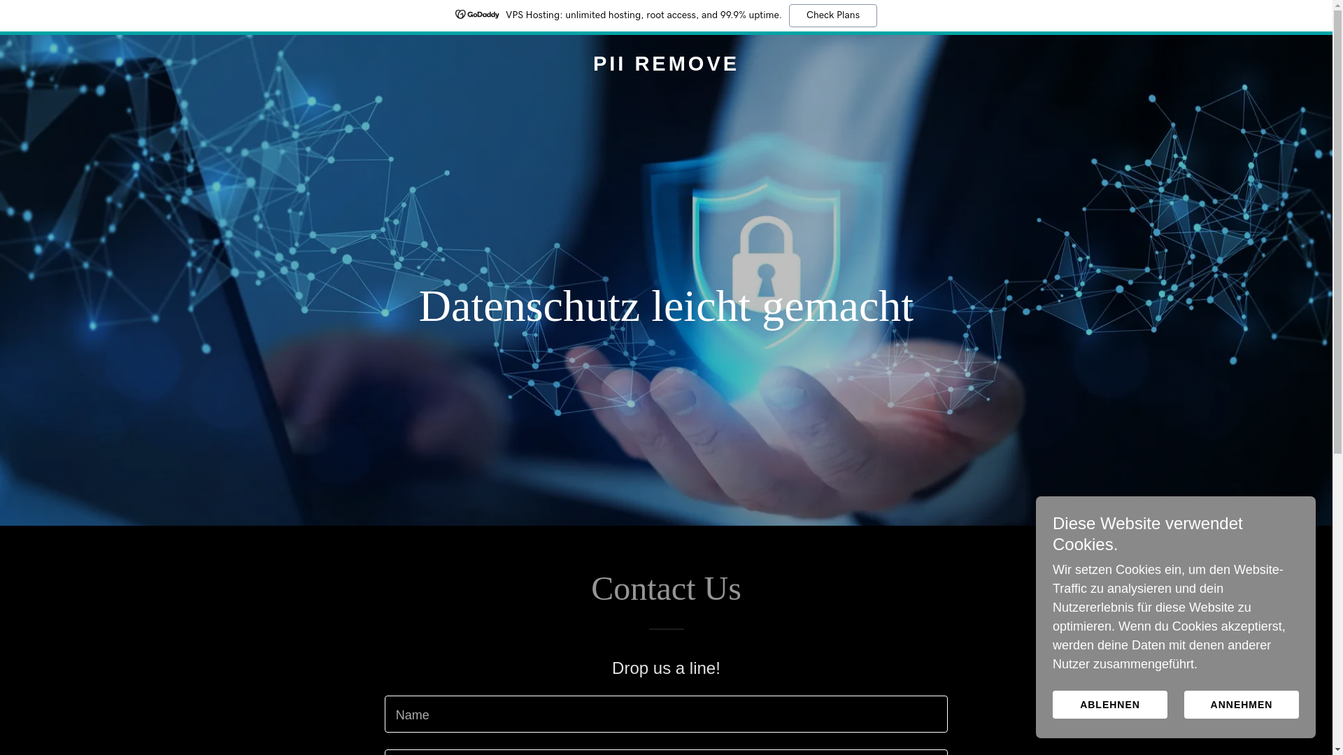 website screenshot of https://pii-remove.info/