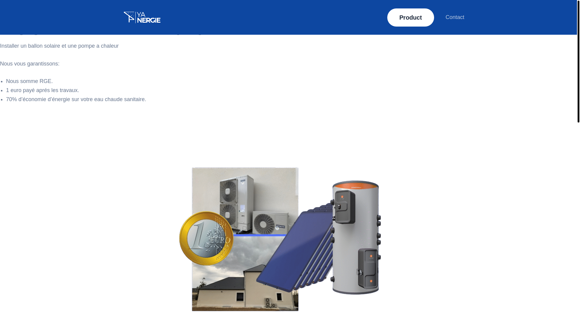 website screenshot of https://yanergie.com/