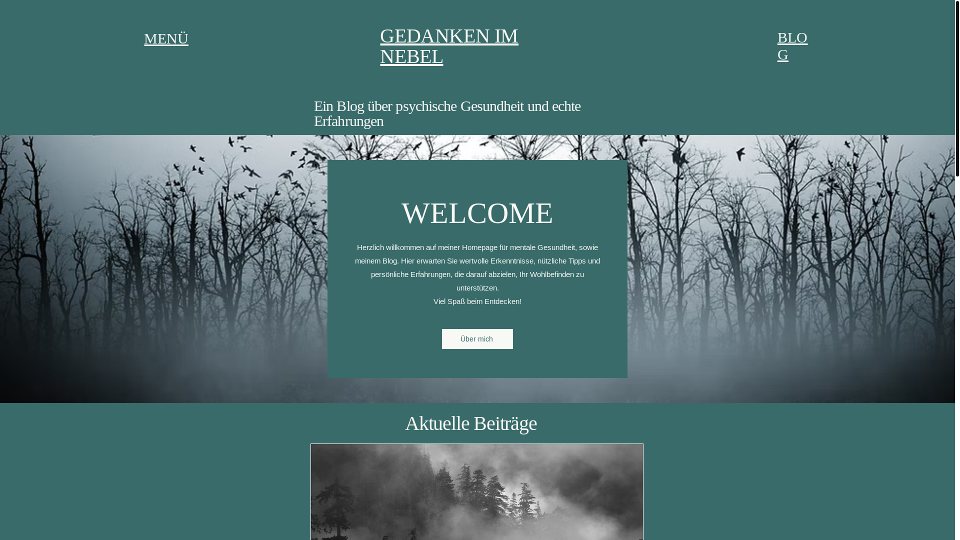website screenshot of https://gedankenimnebel.de/