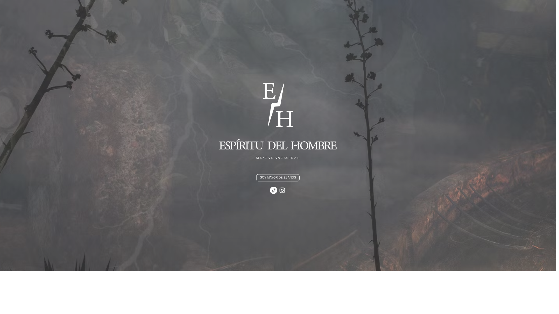 website screenshot of https://espiritudelhombre.com/