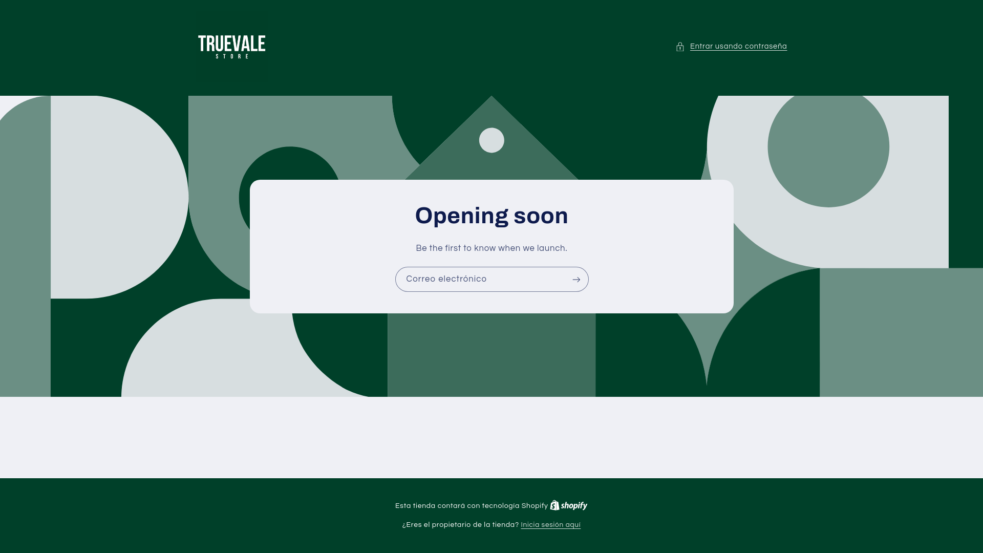 website screenshot of https://truevale.online/