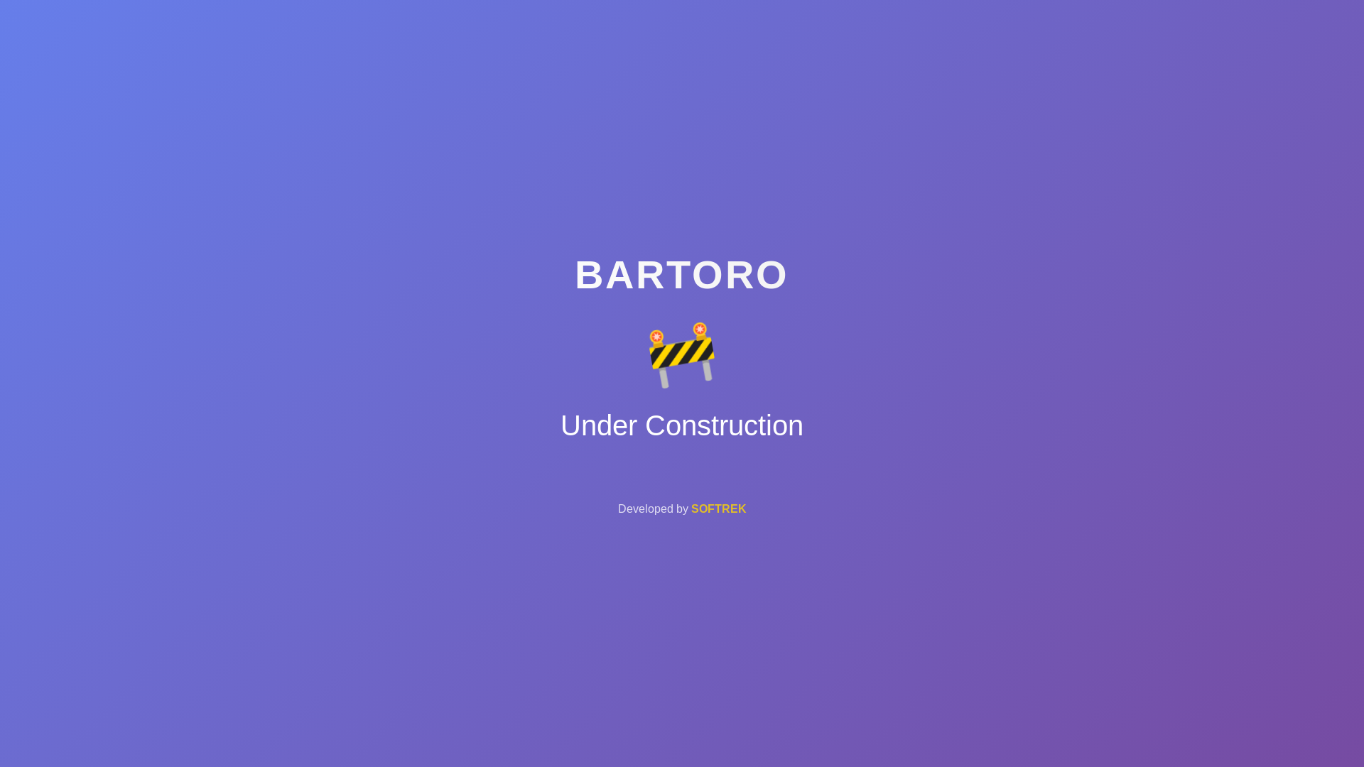 website screenshot of https://bartoro.mx/