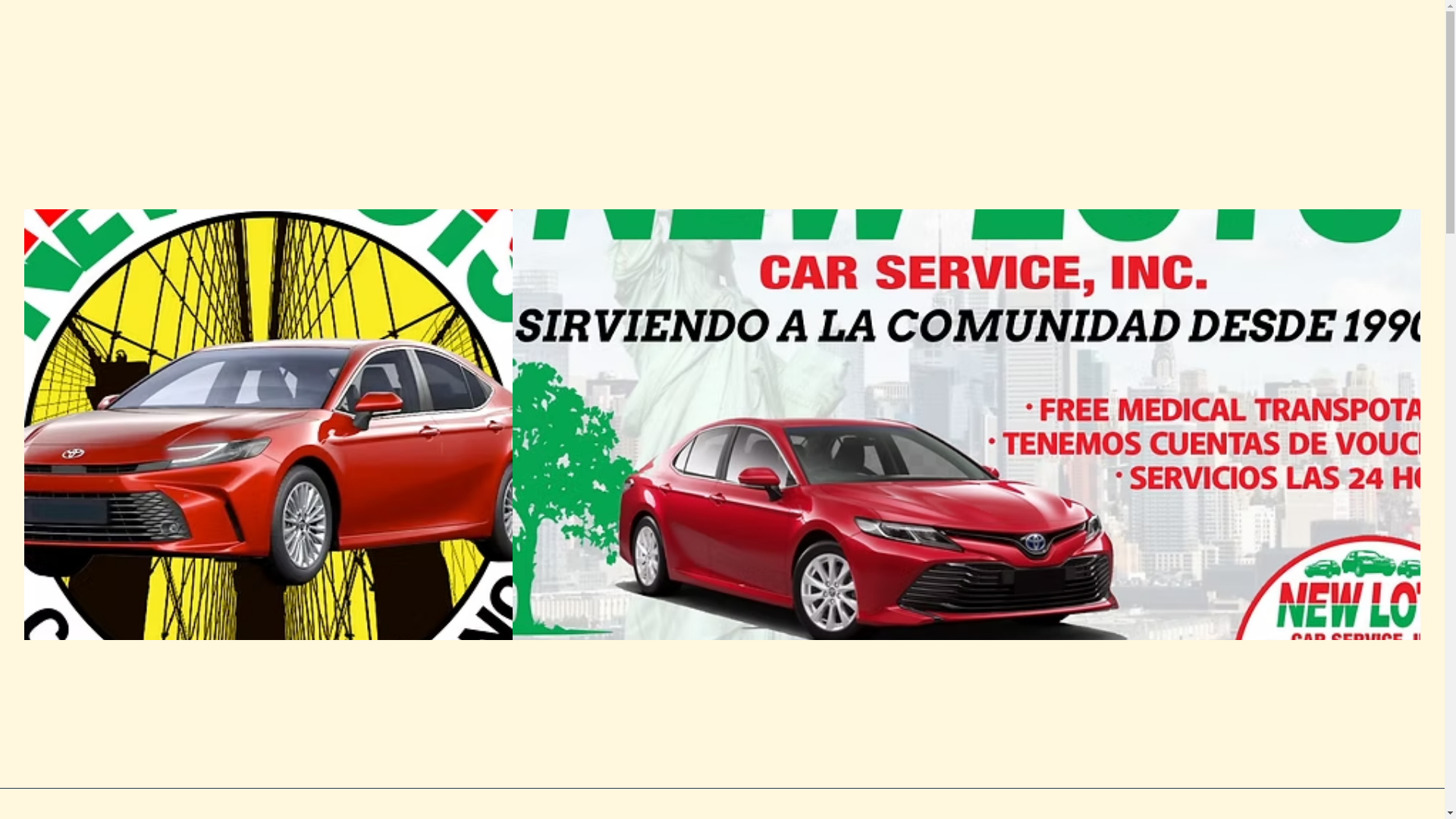 website screenshot of https://newlotscarservice.com/