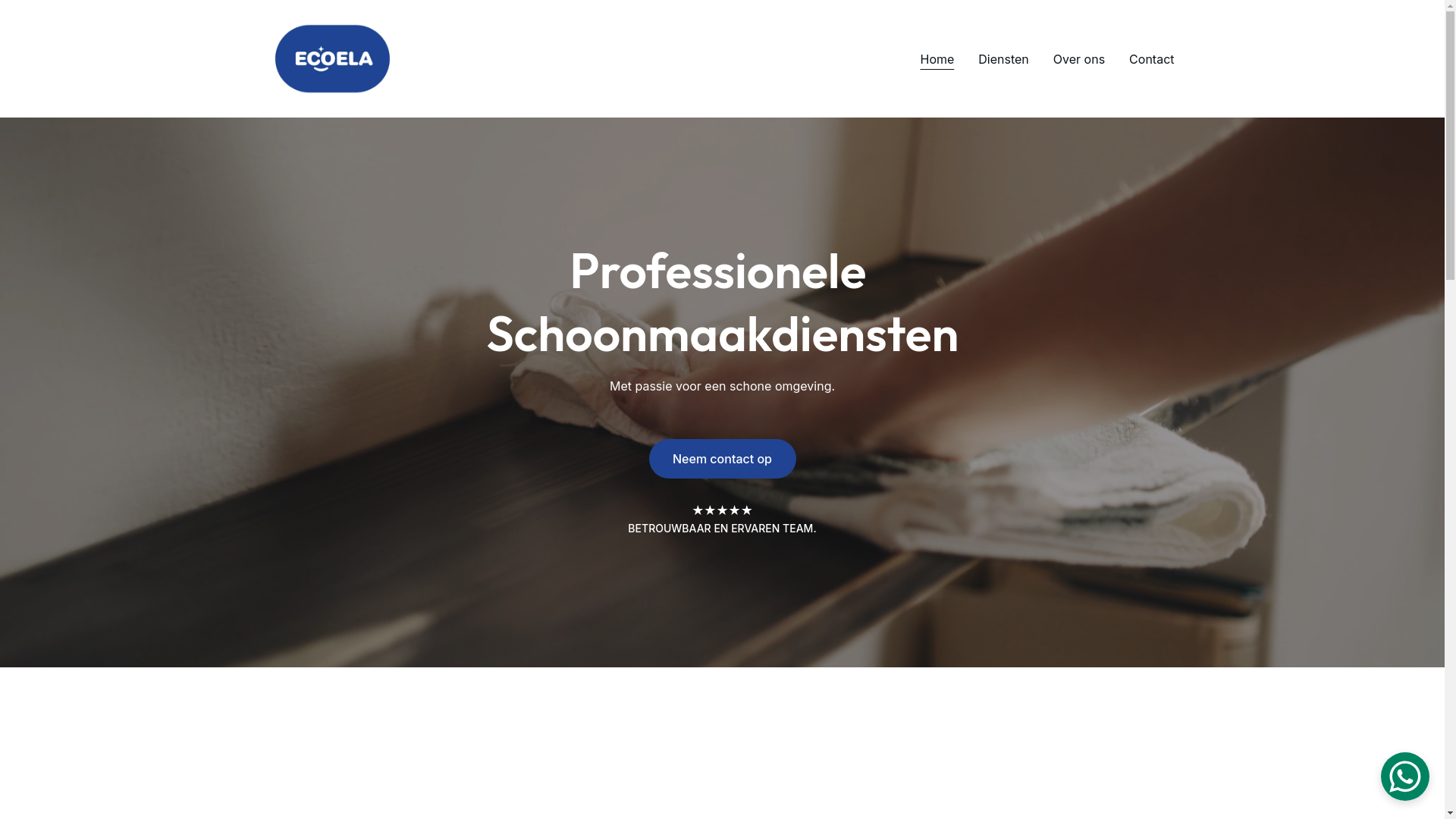 website screenshot of https://ecoelaschoonmaak.nl/