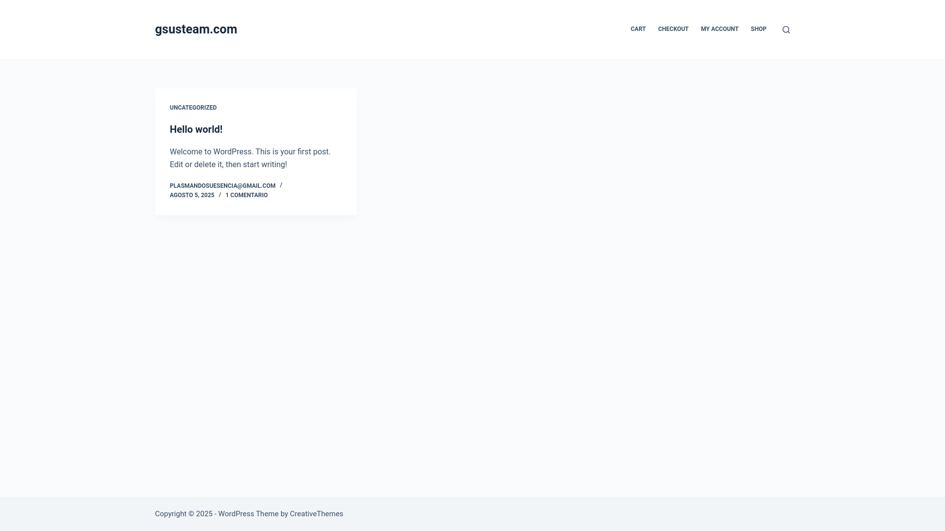 website screenshot of https://gsusteam.com/