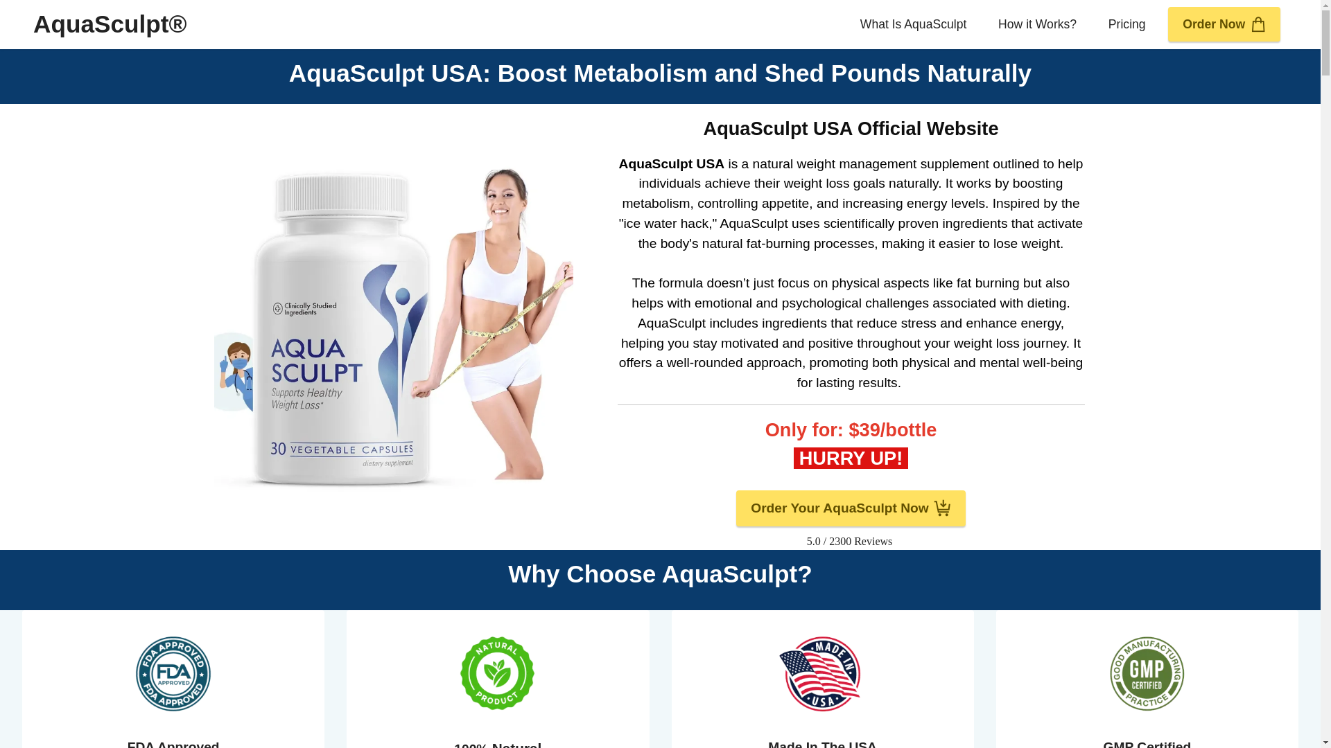 website screenshot of https://en-en--aquaskulpt.com/