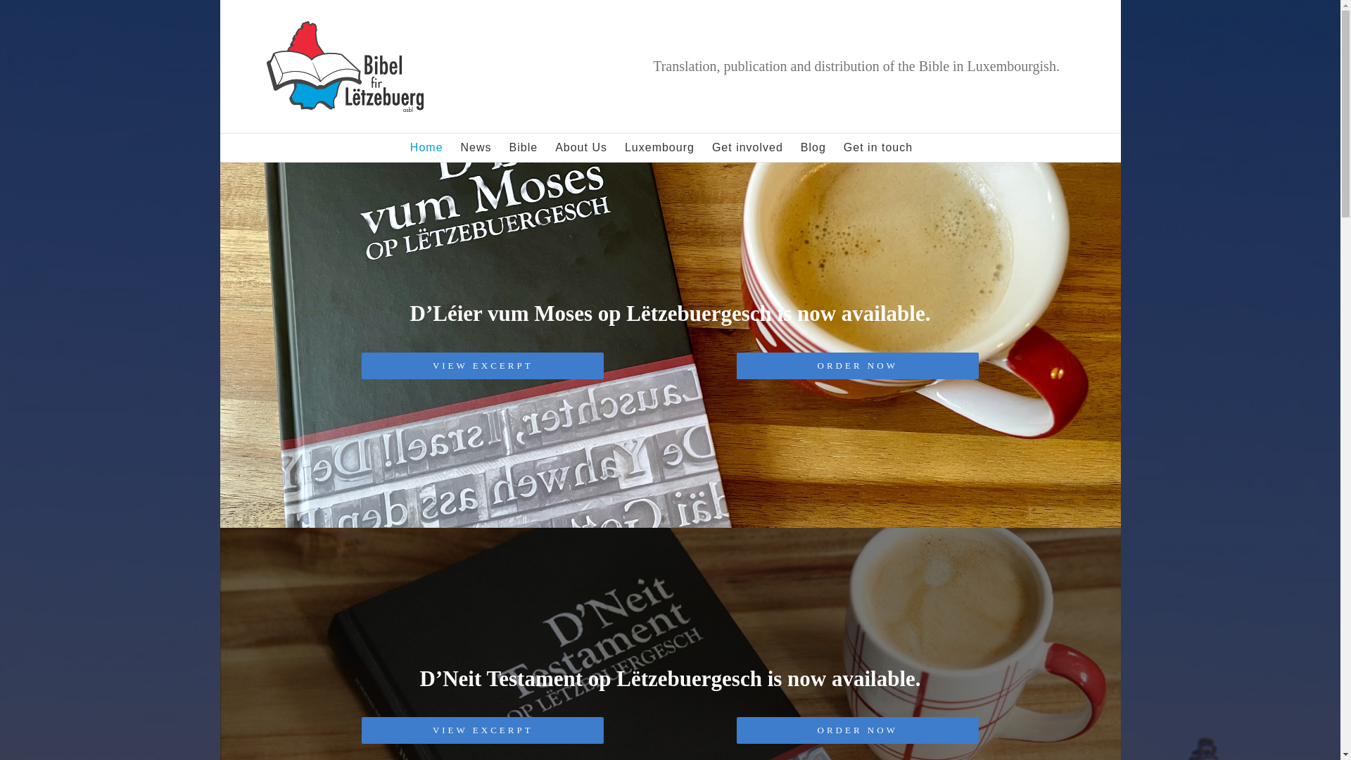 website screenshot of https://bfl.lu/