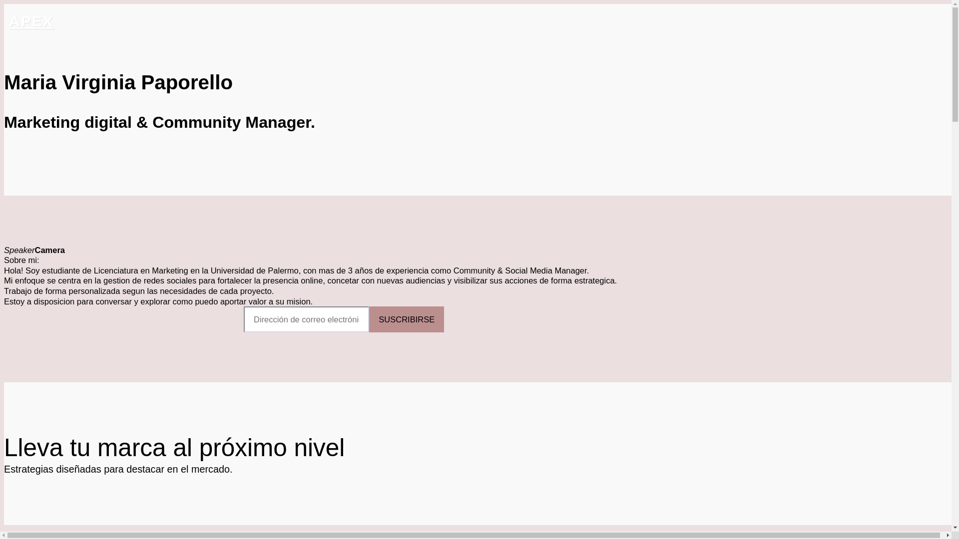 website screenshot of https://virginiapaporellocm.com/
