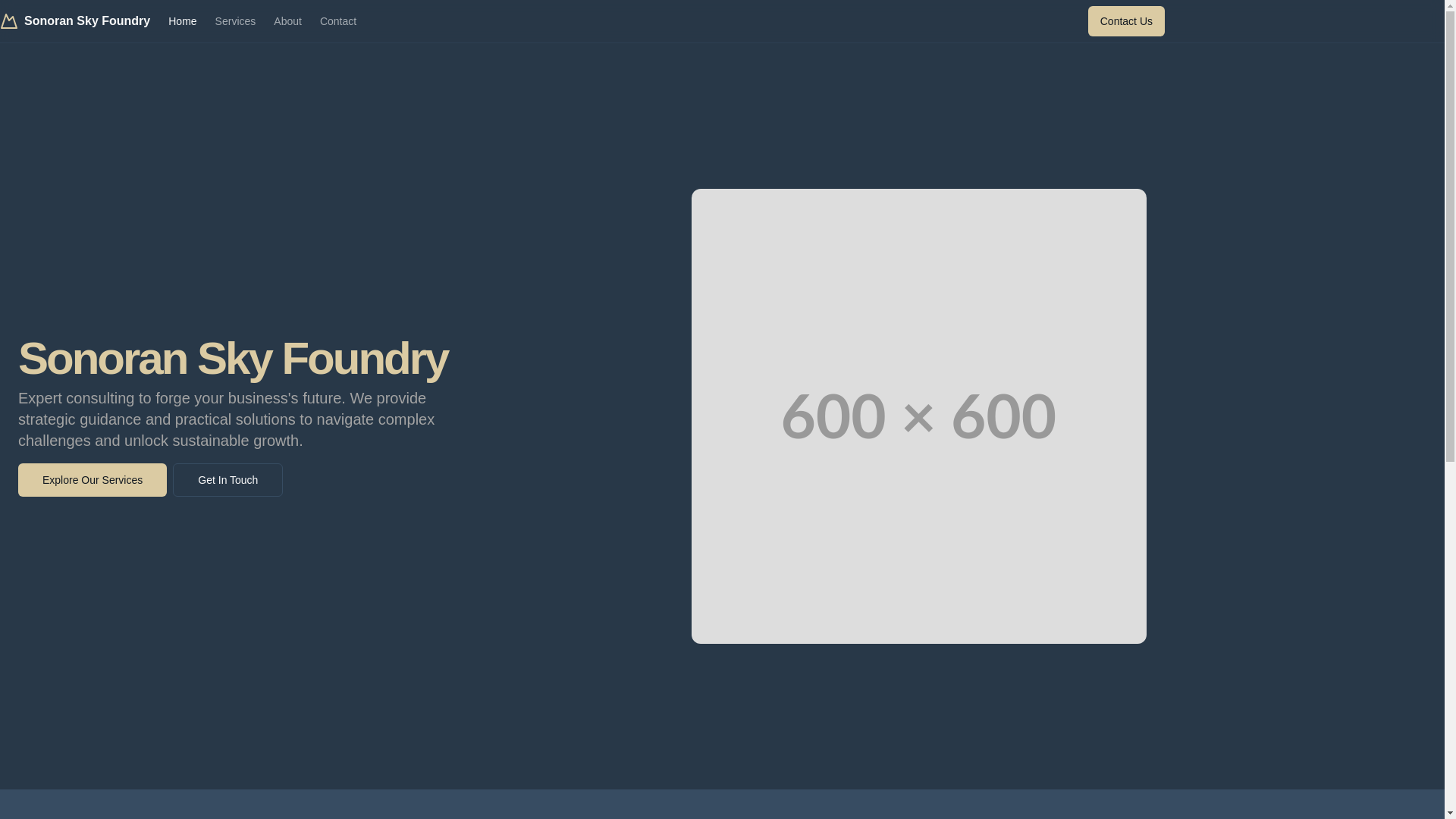 website screenshot of https://sonoranskyfoundry.com/
