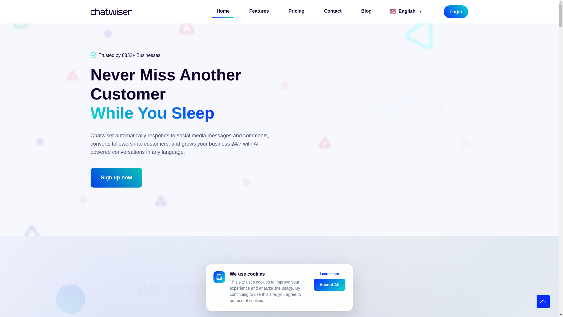 website screenshot of https://chatwiser.online/