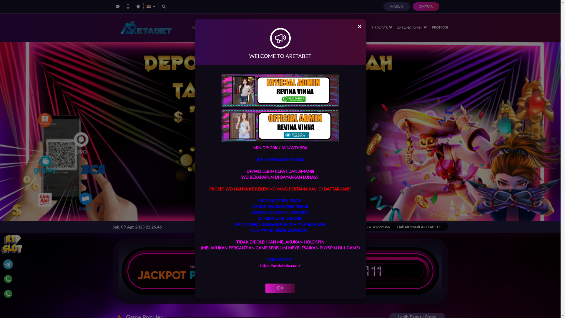 website screenshot of https://areta-amp.net/