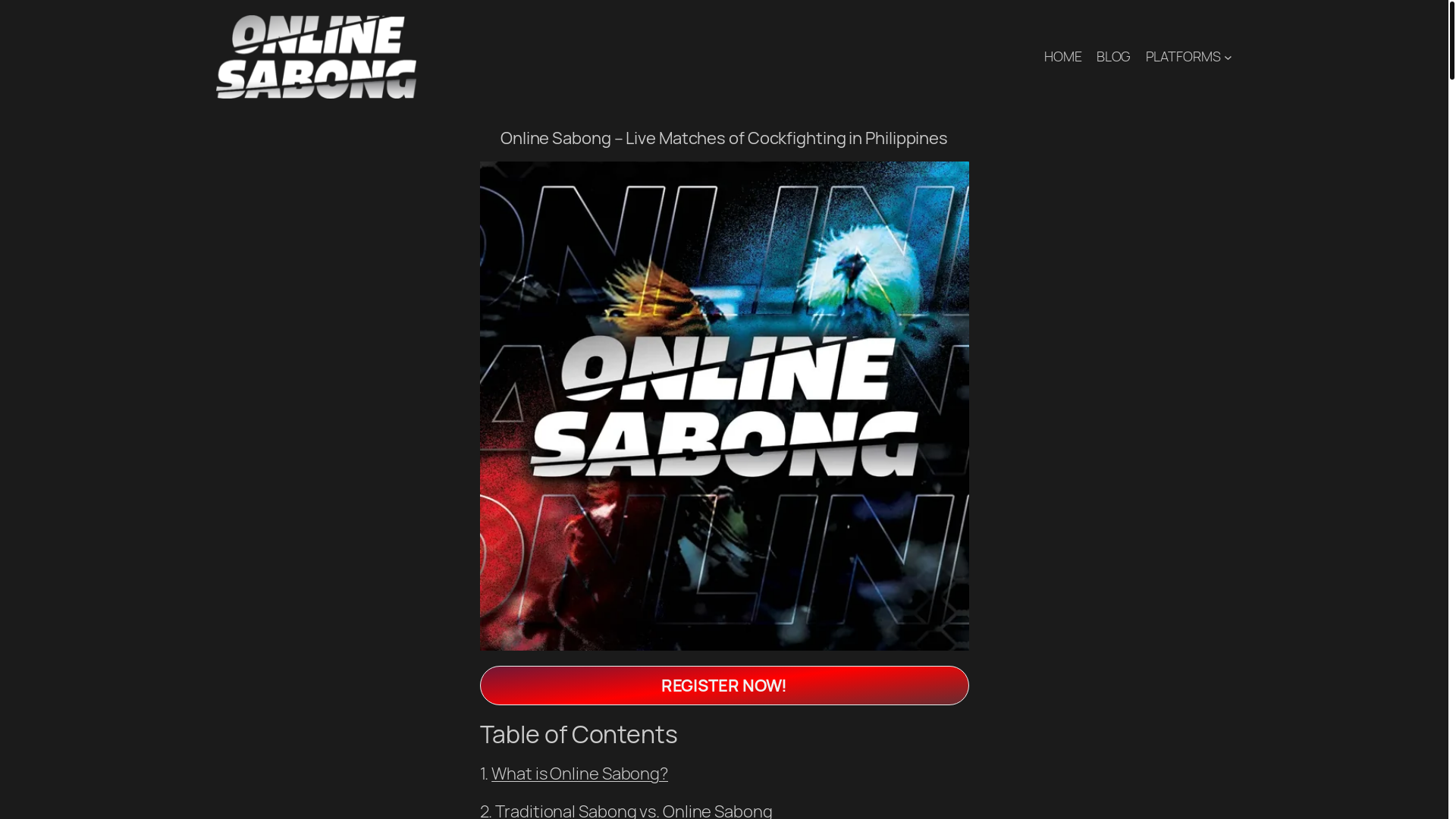website screenshot of https://onlinesabong.com.ph/