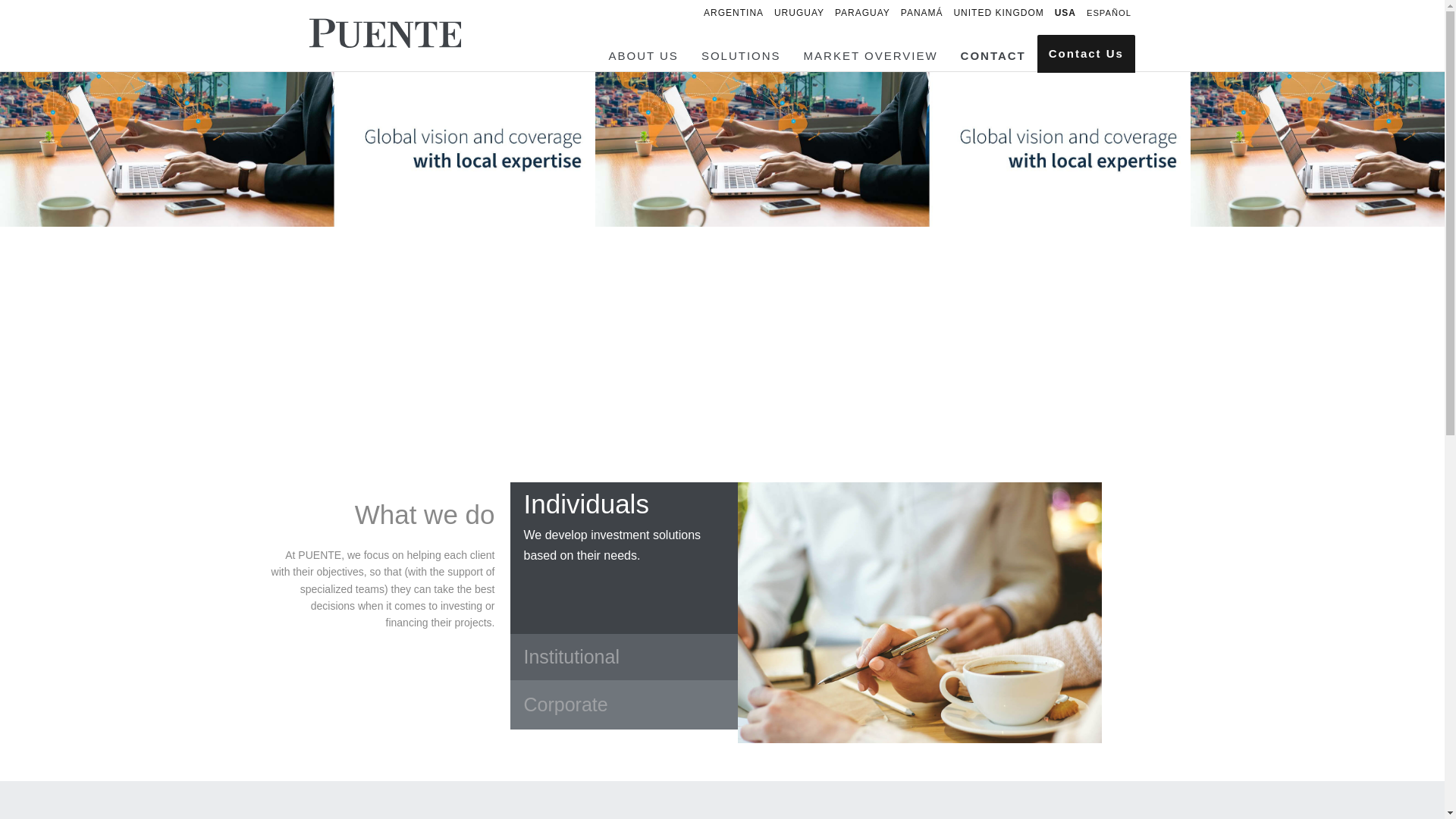 website screenshot of https://puentenetsvip.com/