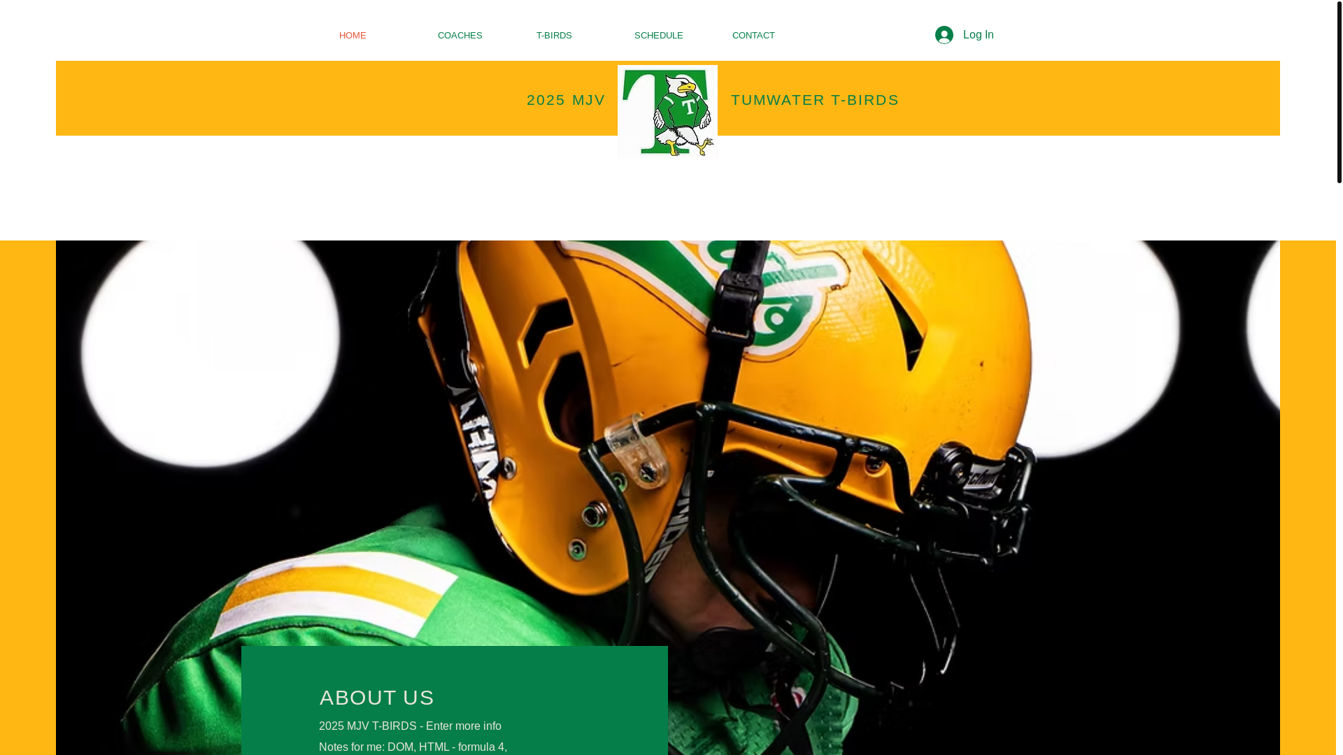 website screenshot of https://2025mjvtbirds.com/