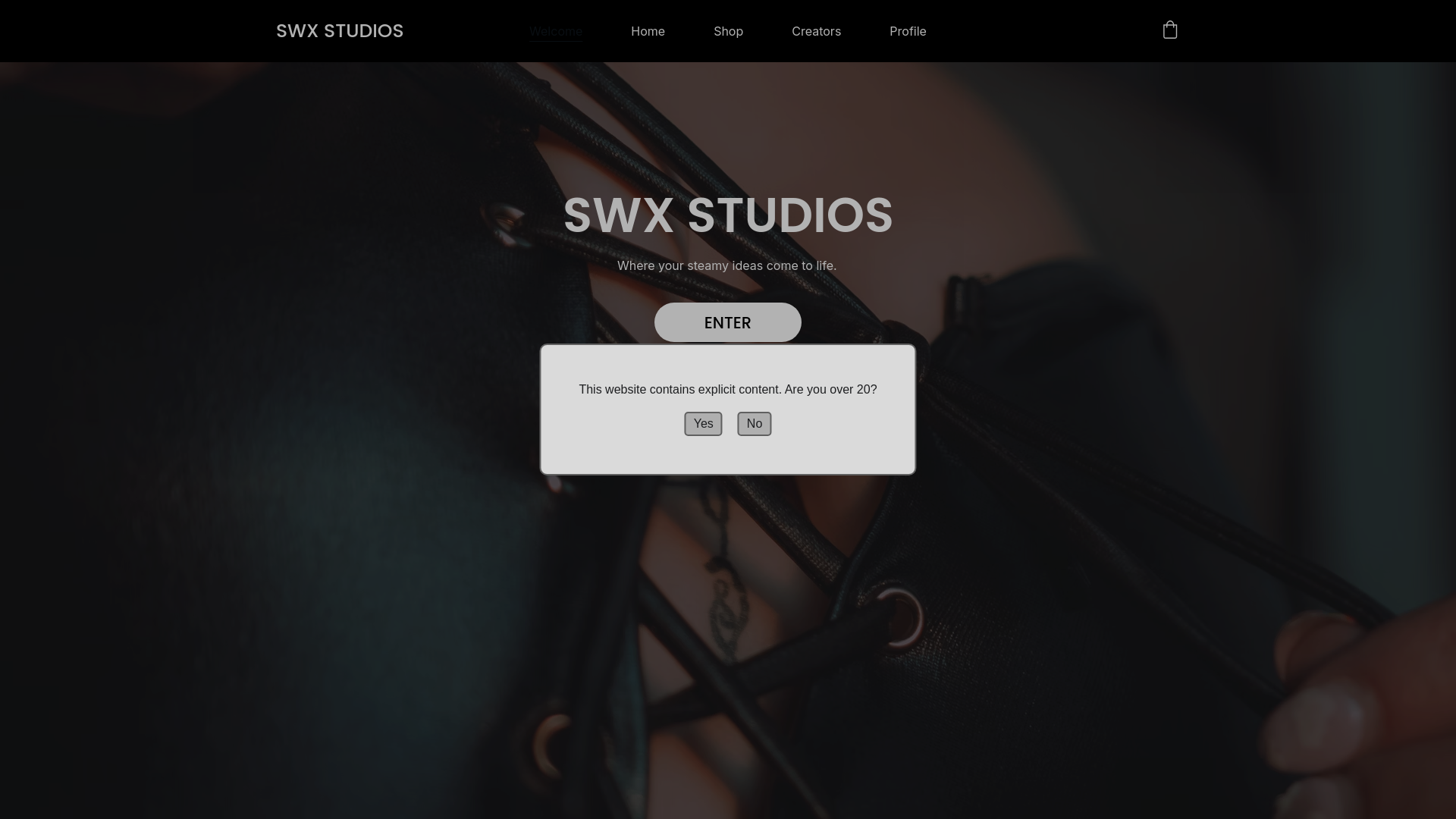 website screenshot of https://swxstudios.club/