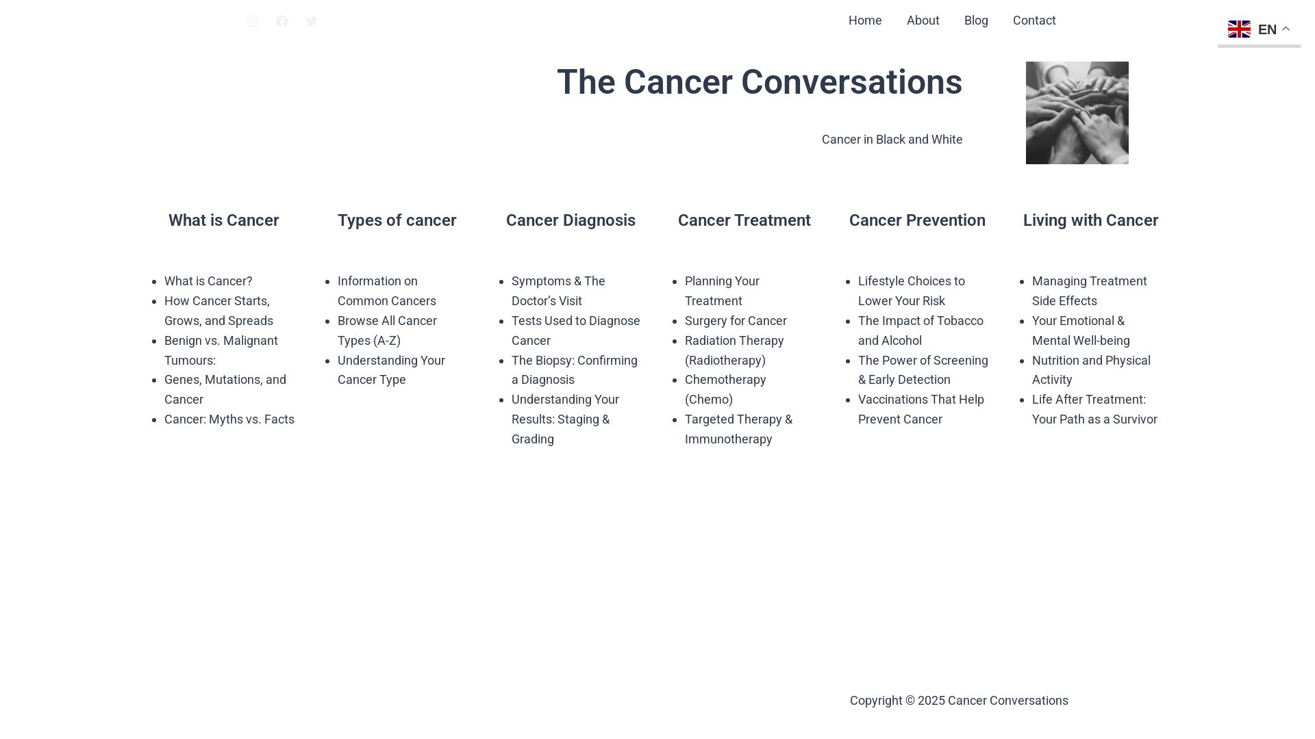 website screenshot of https://thecancerconversations.online/