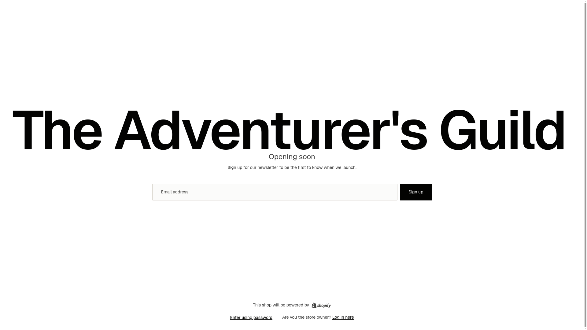 website screenshot of https://theadventurersguild.shop/