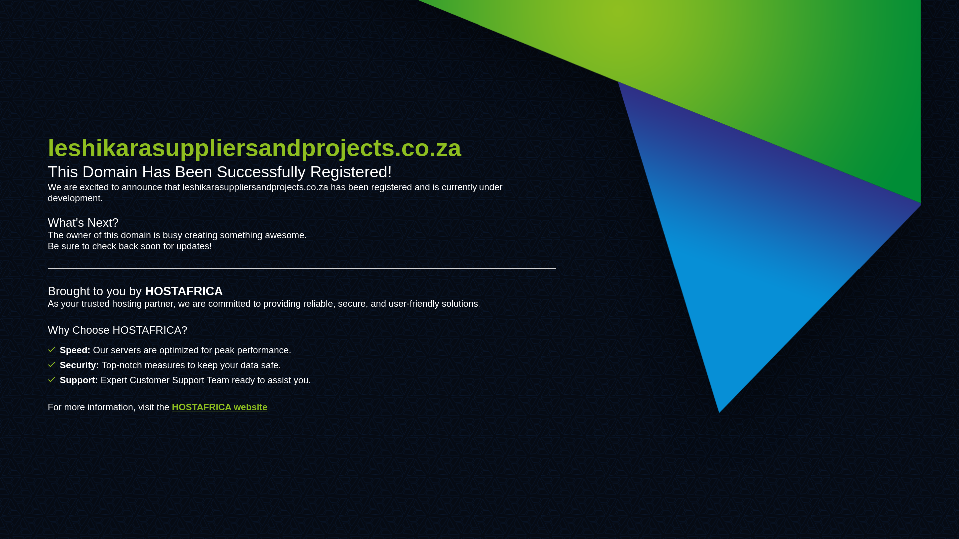 website screenshot of https://leshikarasuppliersandprojects.co.za/