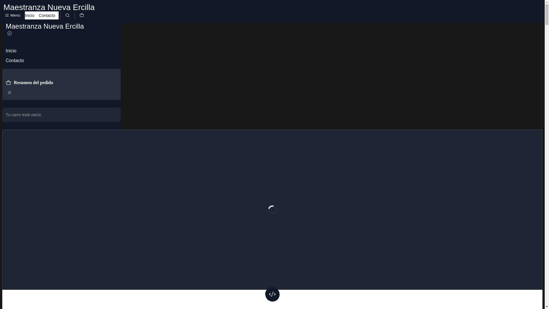 website screenshot of https://maestranzanuevaercilla.cl/