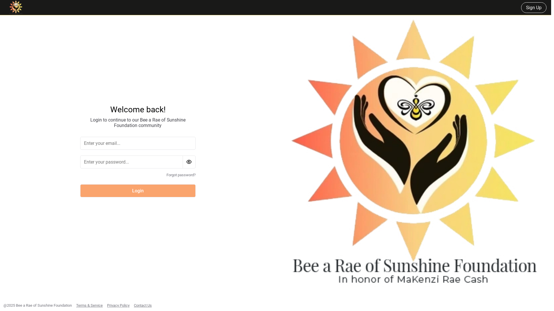 website screenshot of https://braeofsunshinefoundation.community/