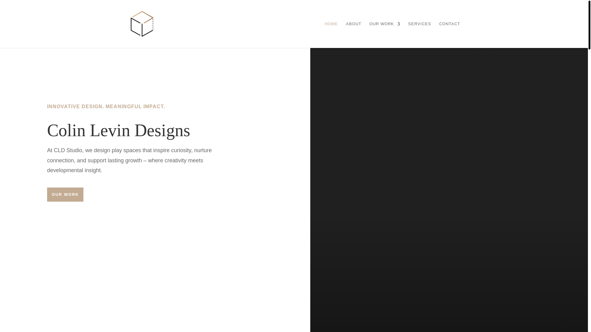 website screenshot of https://colinlevindesign.co.za/