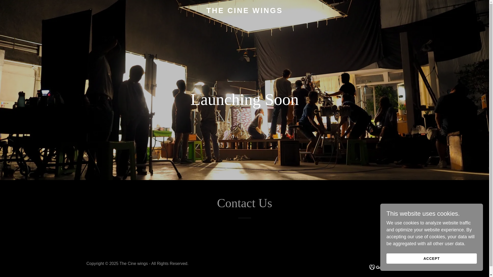 website screenshot of https://thecinewings.com/