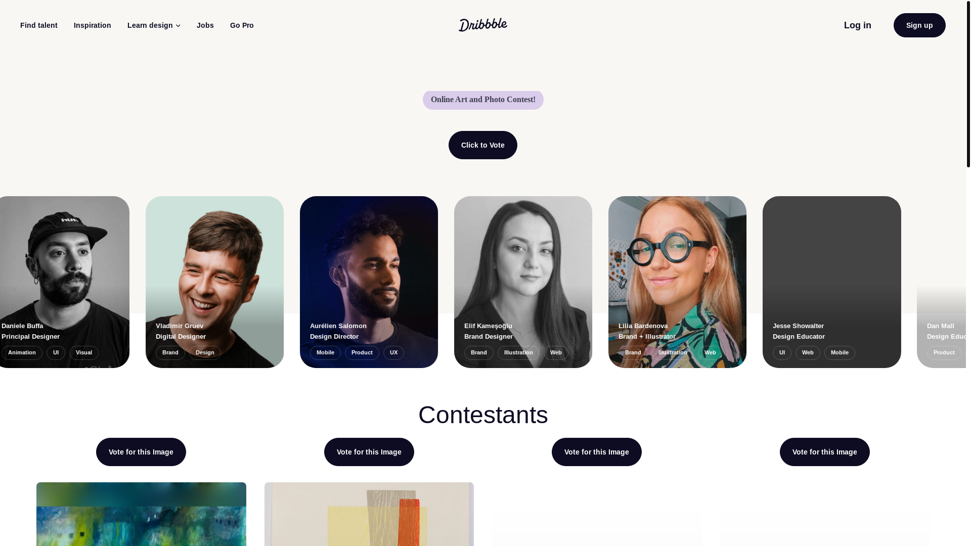 website screenshot of https://terraondribbblecontest.pages.dev/