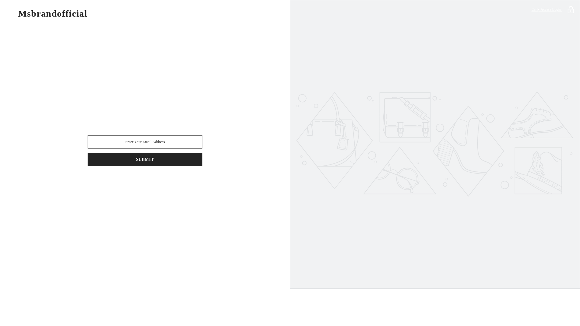 website screenshot of https://msbrandofficial.com/