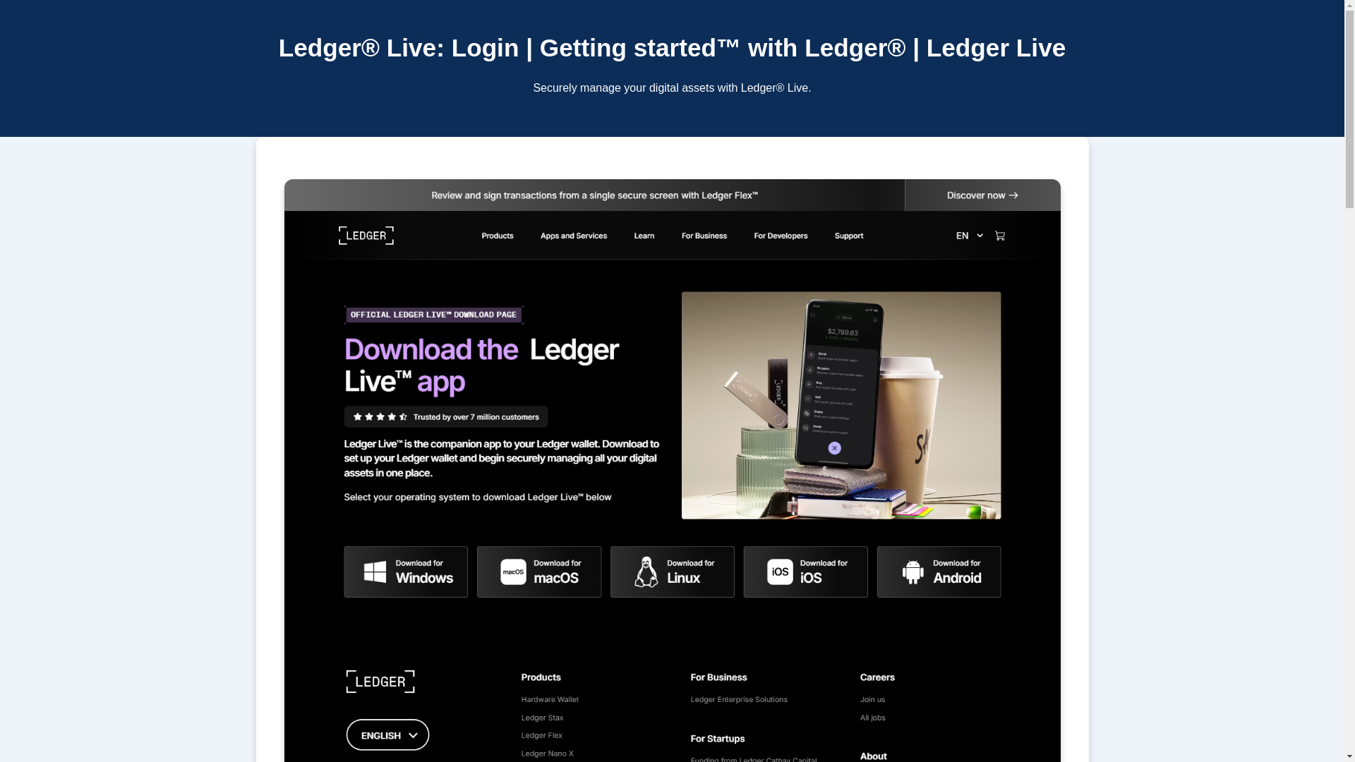 website screenshot of https://sso-ledgr-live-secure-logn.pages.dev/
