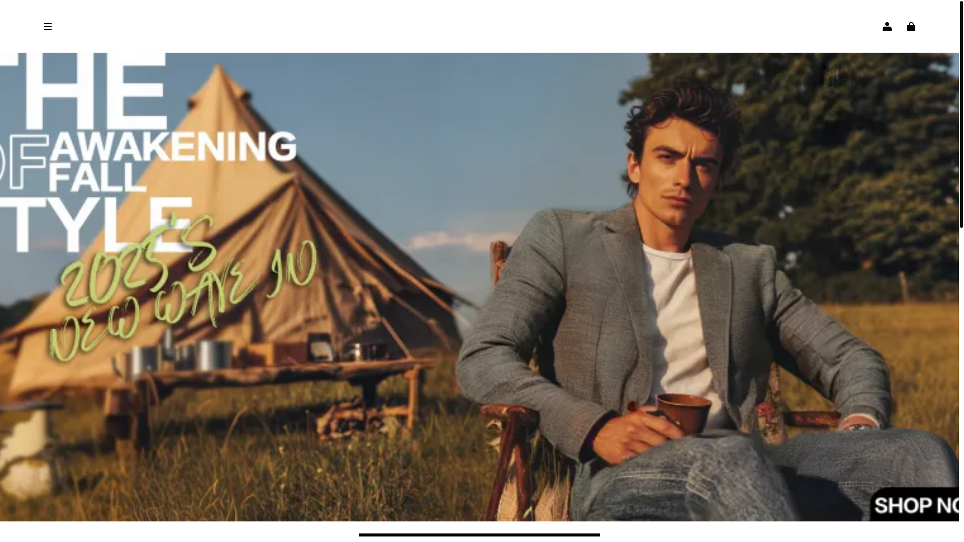 website screenshot of https://nanalion.com/