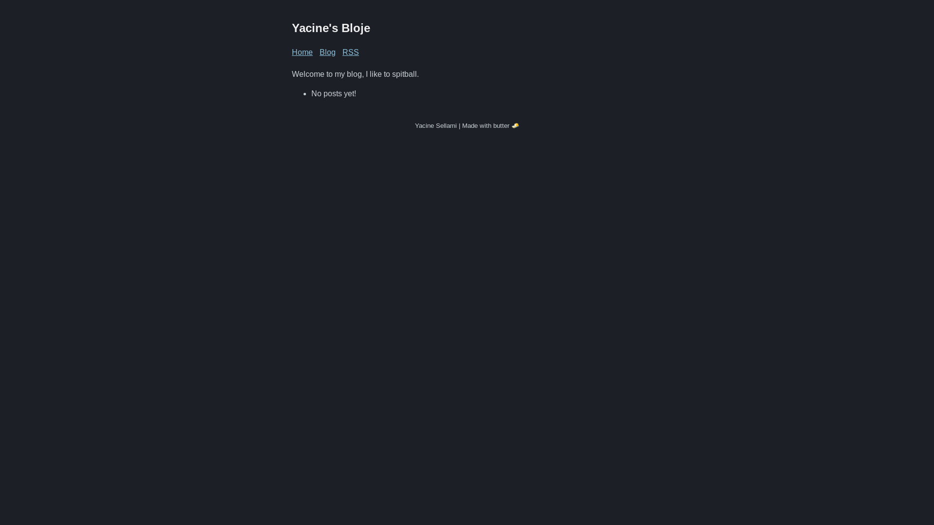 website screenshot of https://yacinesellami.com/
