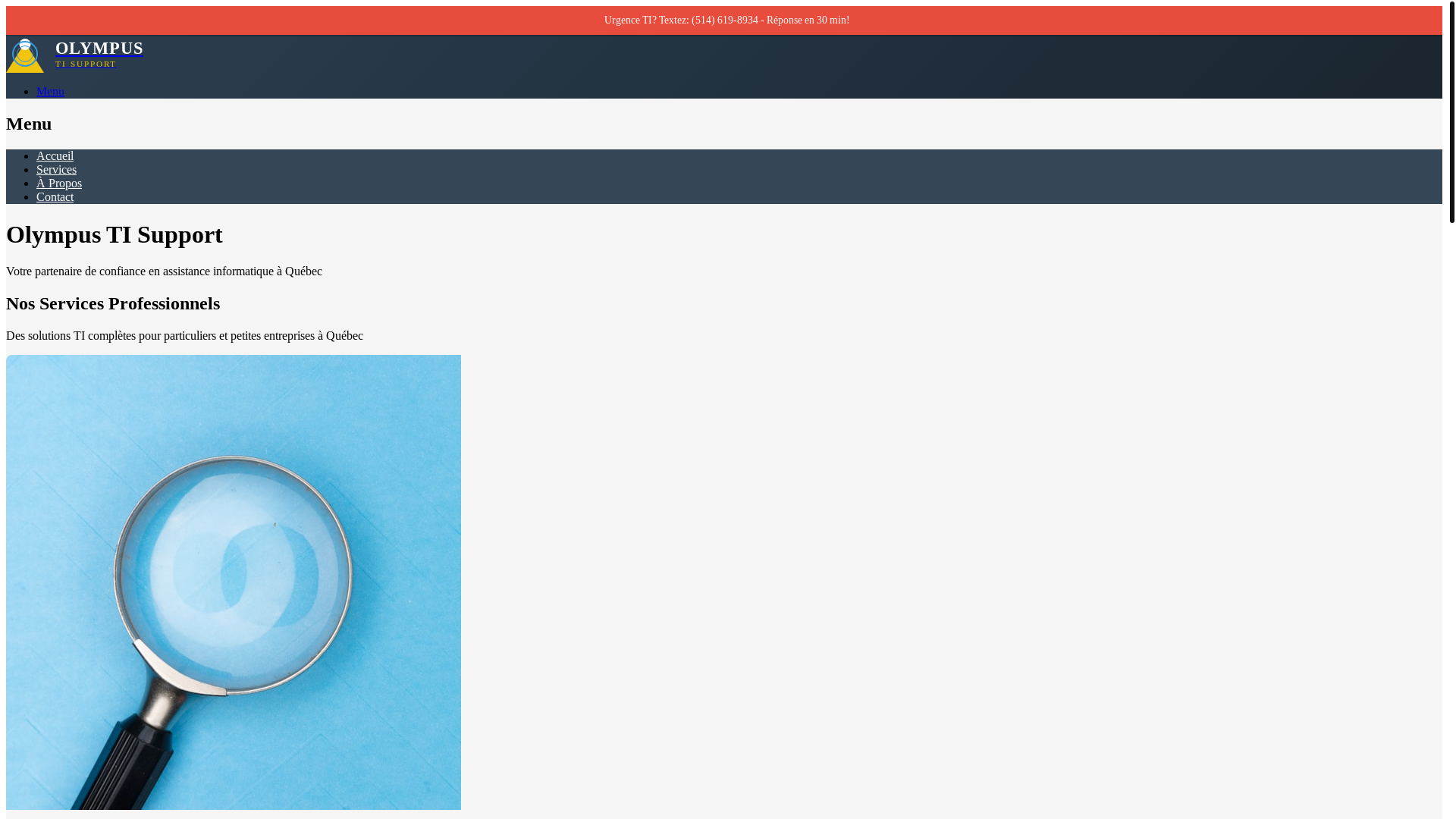 website screenshot of https://olympus-ti-website-v2.pages.dev/