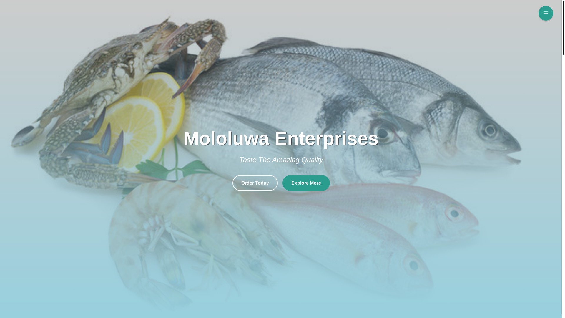 website screenshot of https://mololuwaenterprises.com/