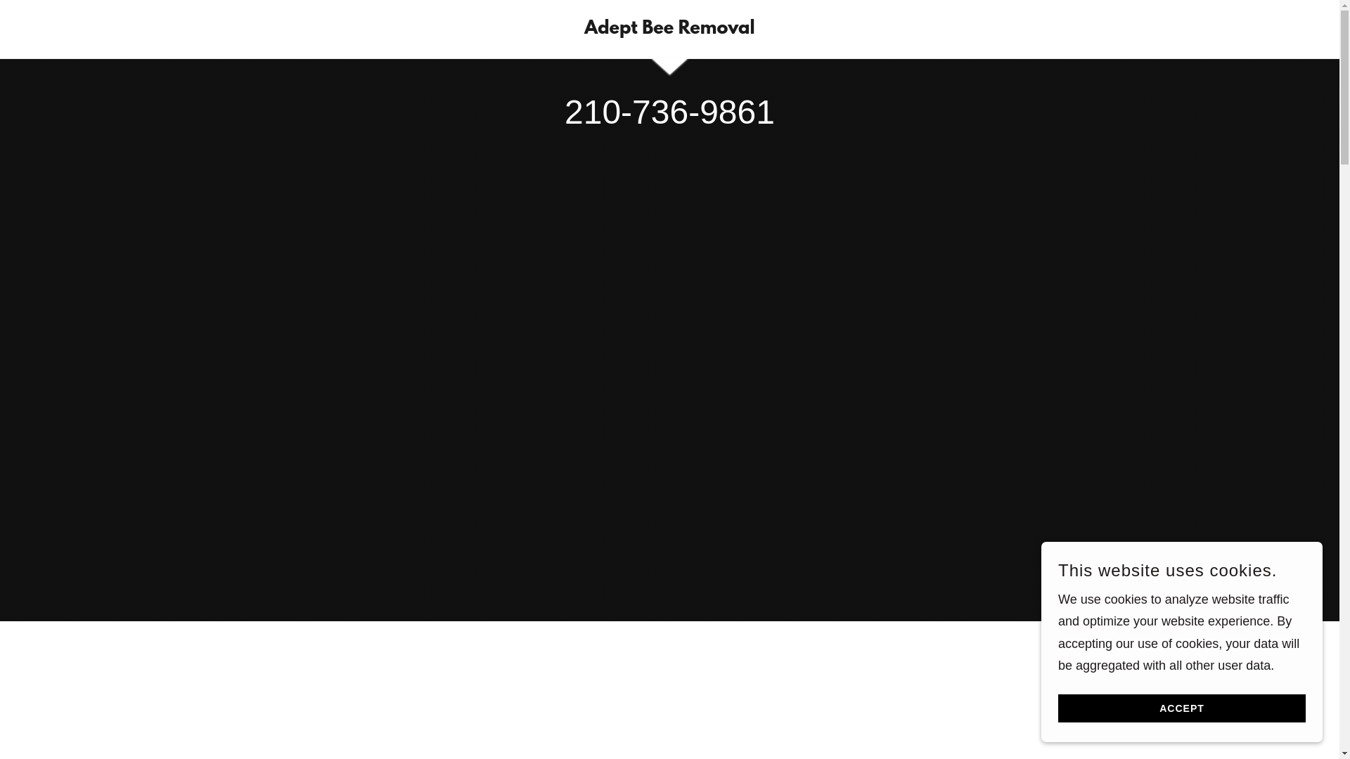 website screenshot of https://adeptbeeremoval.com/