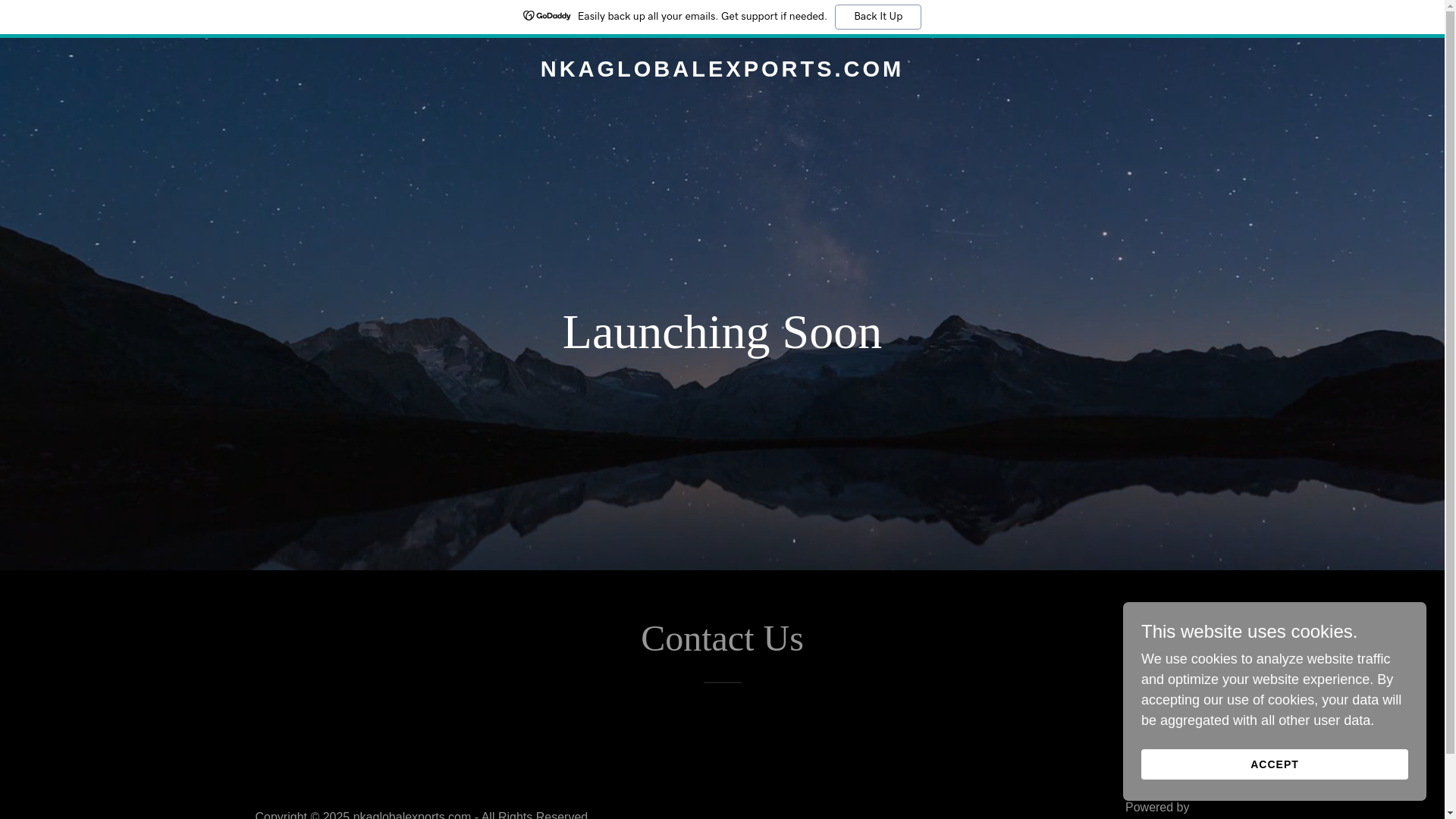 website screenshot of https://nkaglobalexports.com/