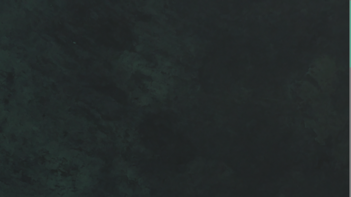 website screenshot of https://timailesi.com