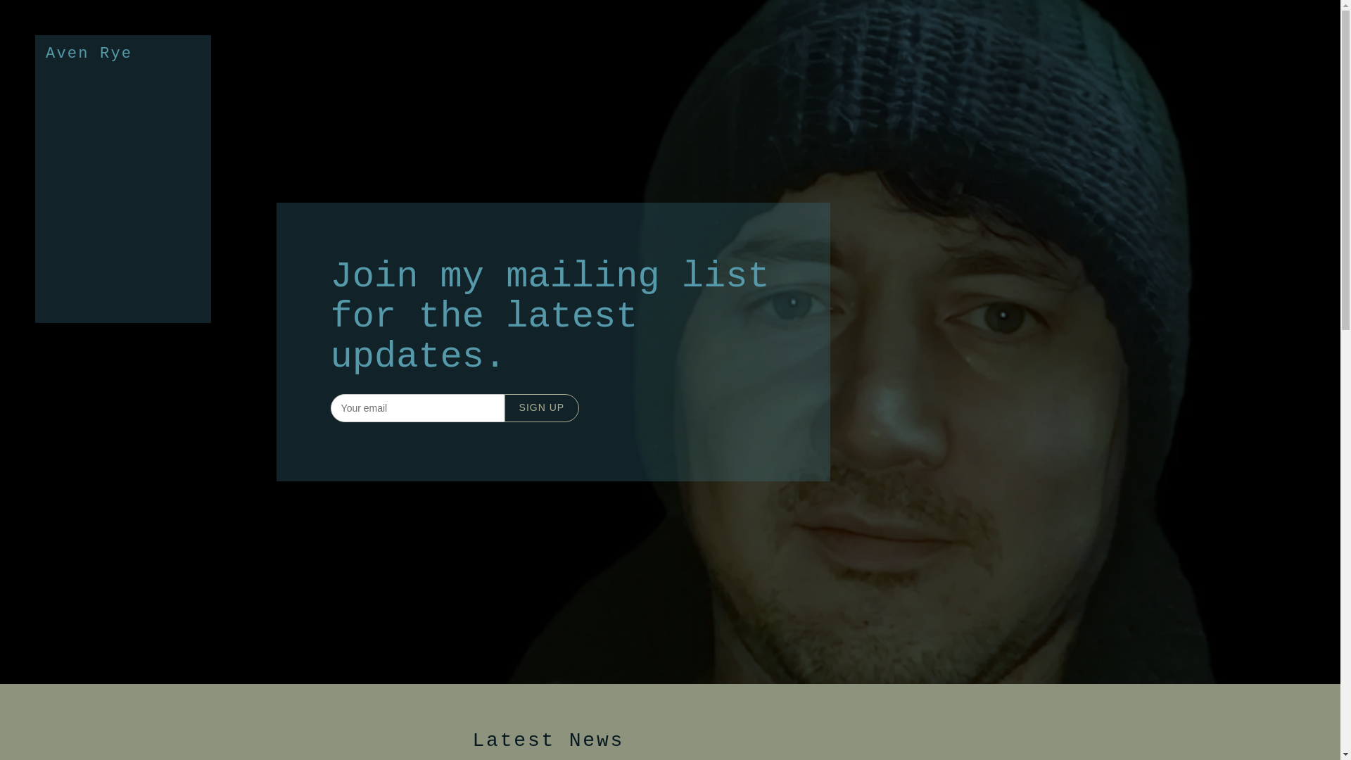 website screenshot of https://avenrye.com/
